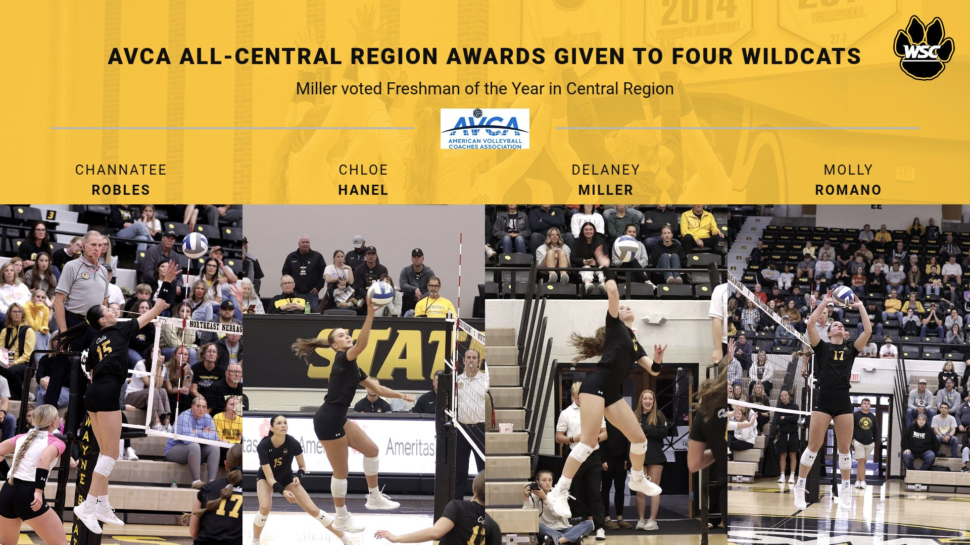 avca allregion web