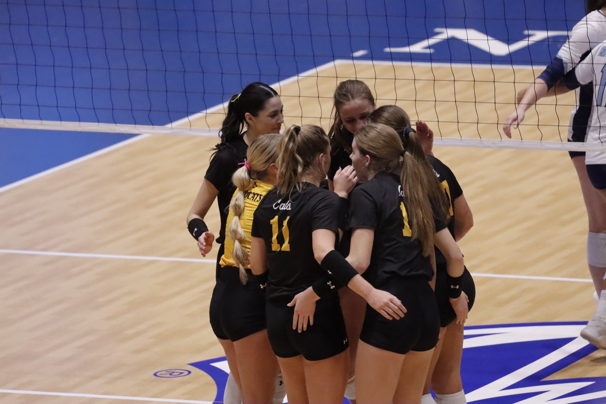 wscvb centralregion web