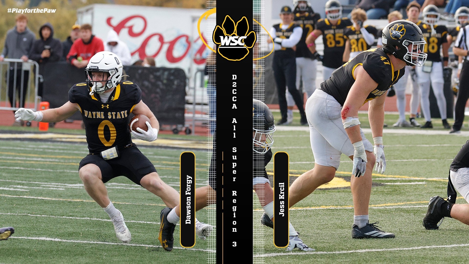 forgy krcil all region graphic