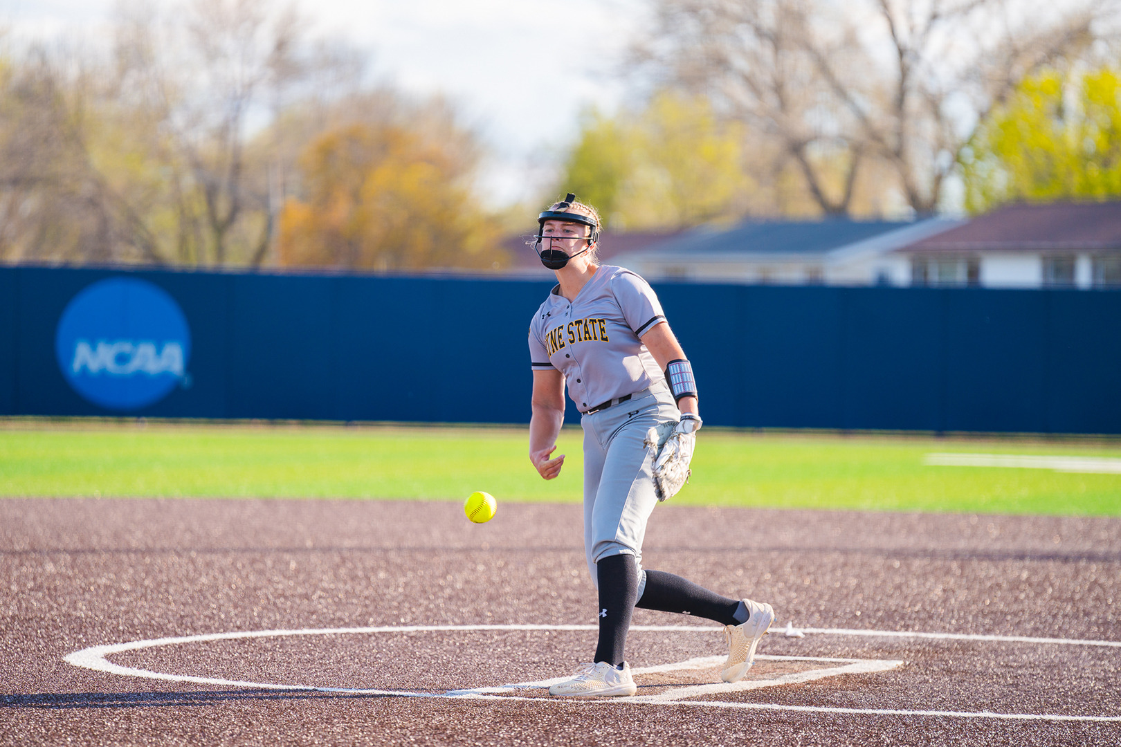 borngrebe nsicmsu pitch