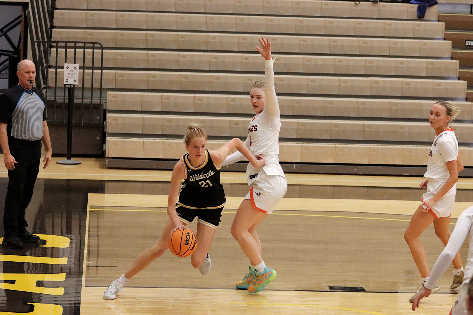 dahlen jamestown web