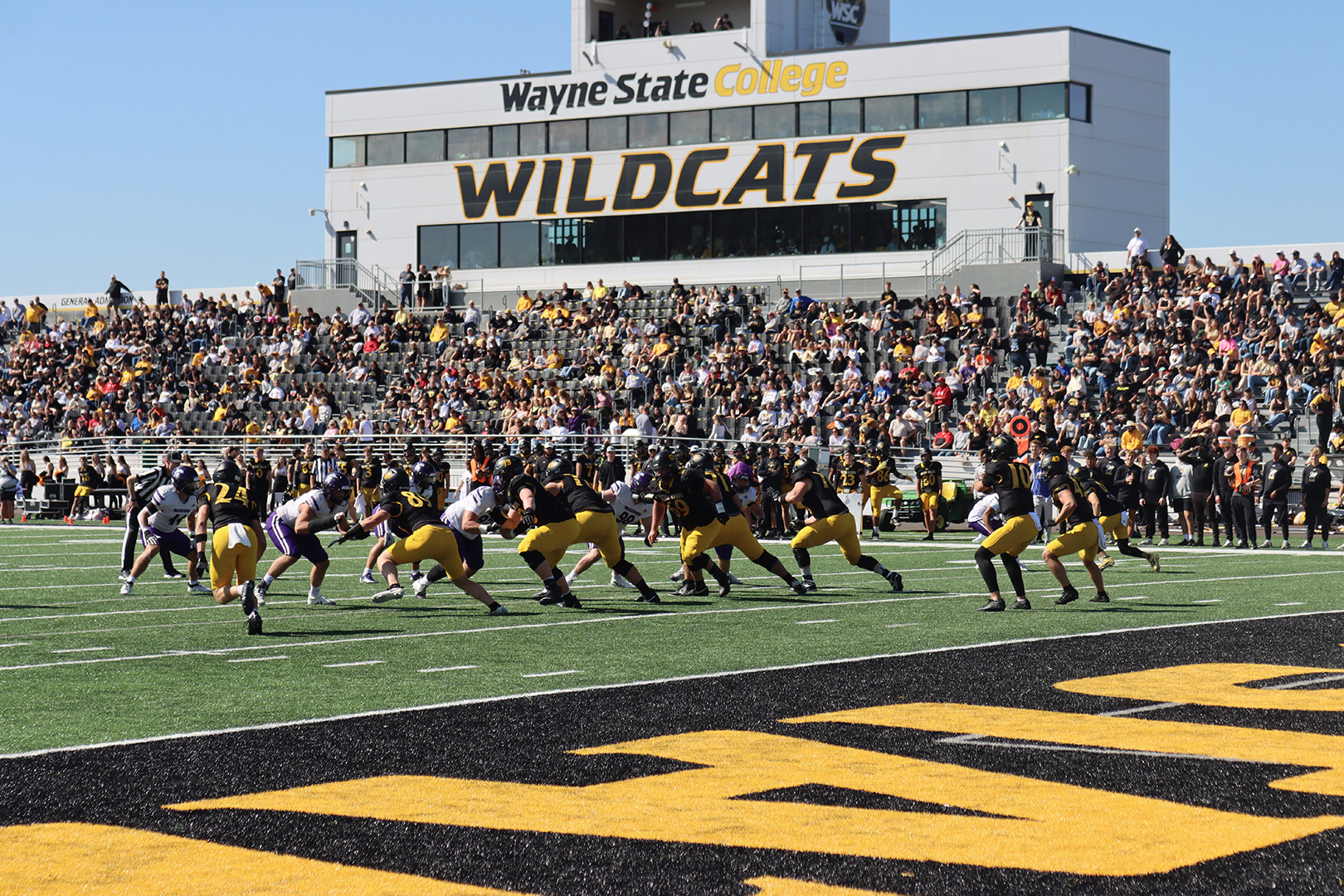 wscfb afca poll web