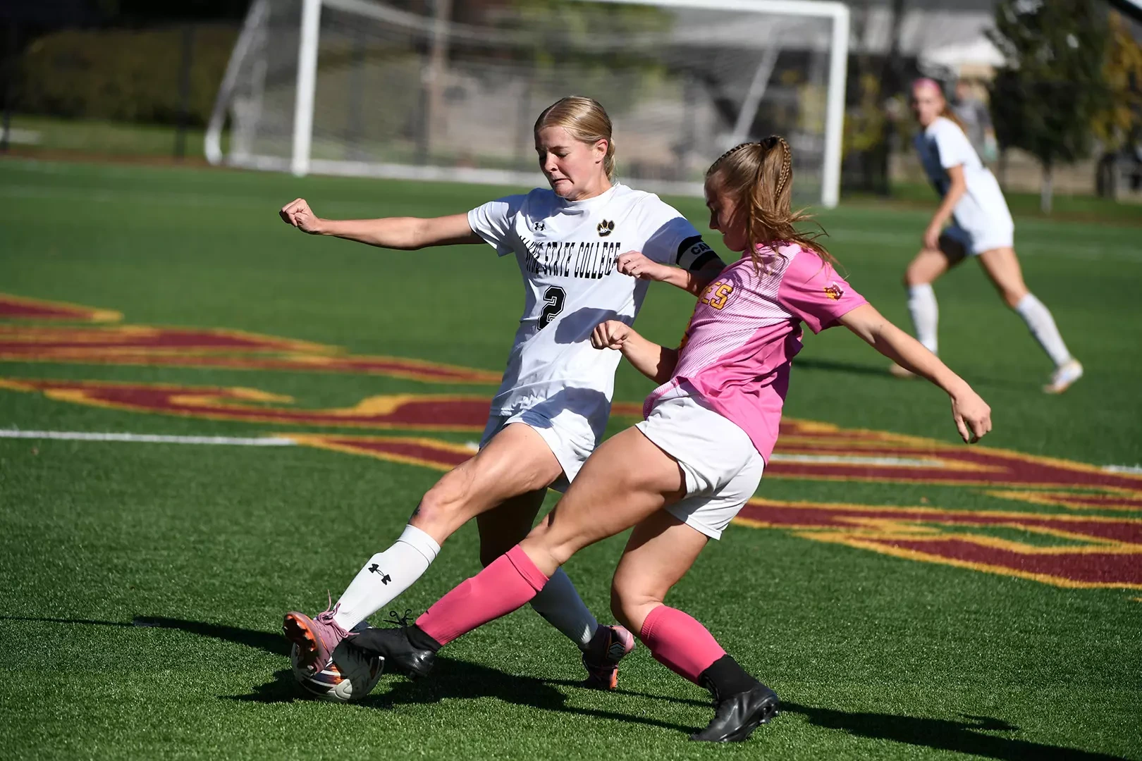 wscsoc nsu web