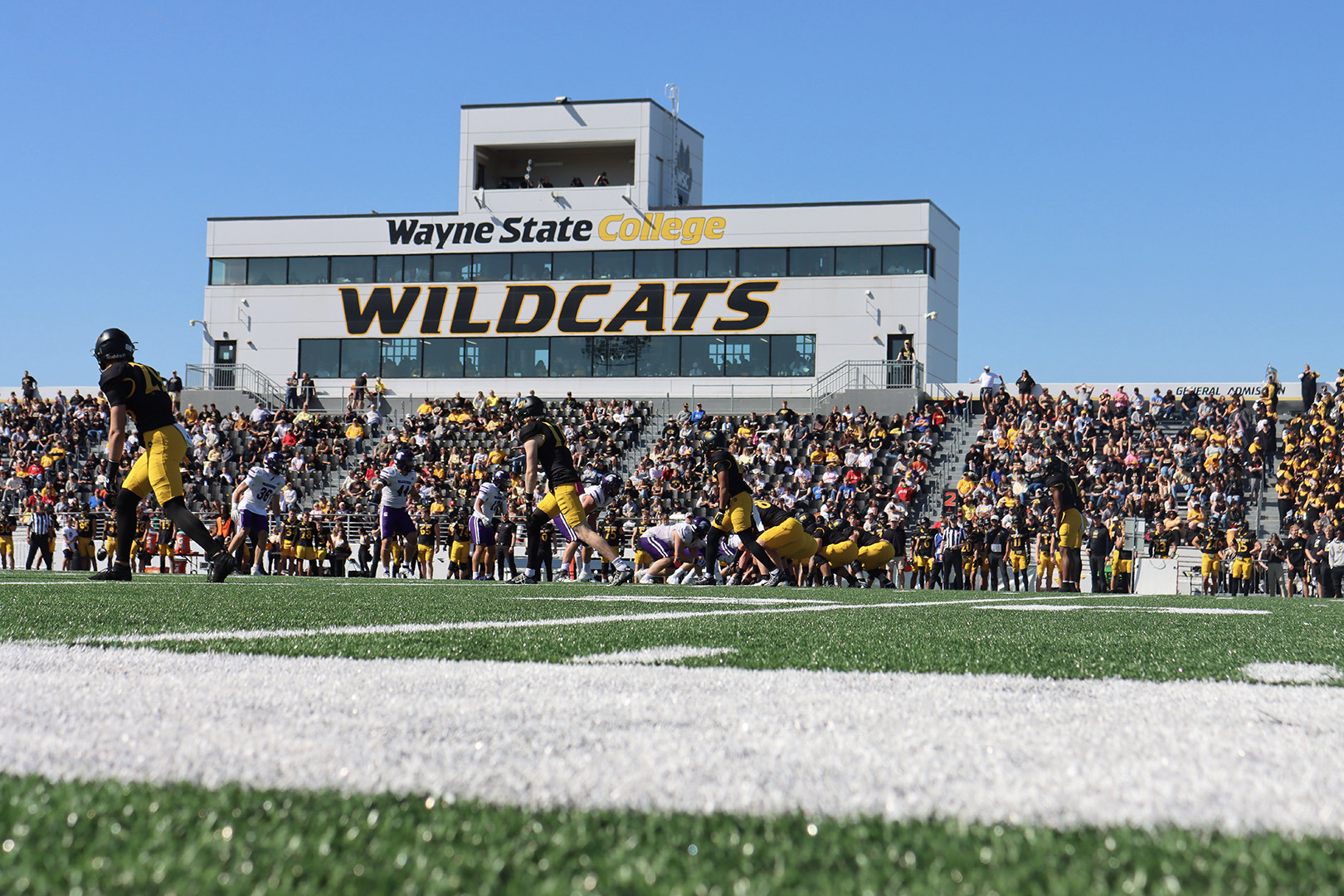 wscfb msu web