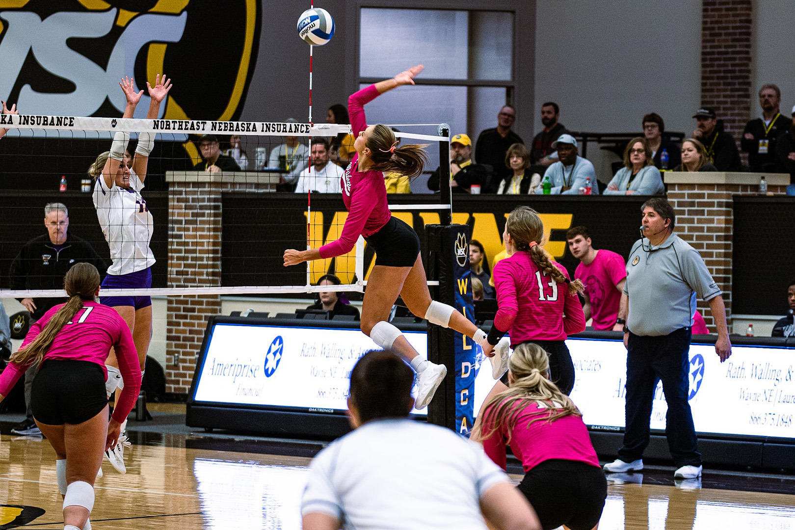 hanel minnstate web