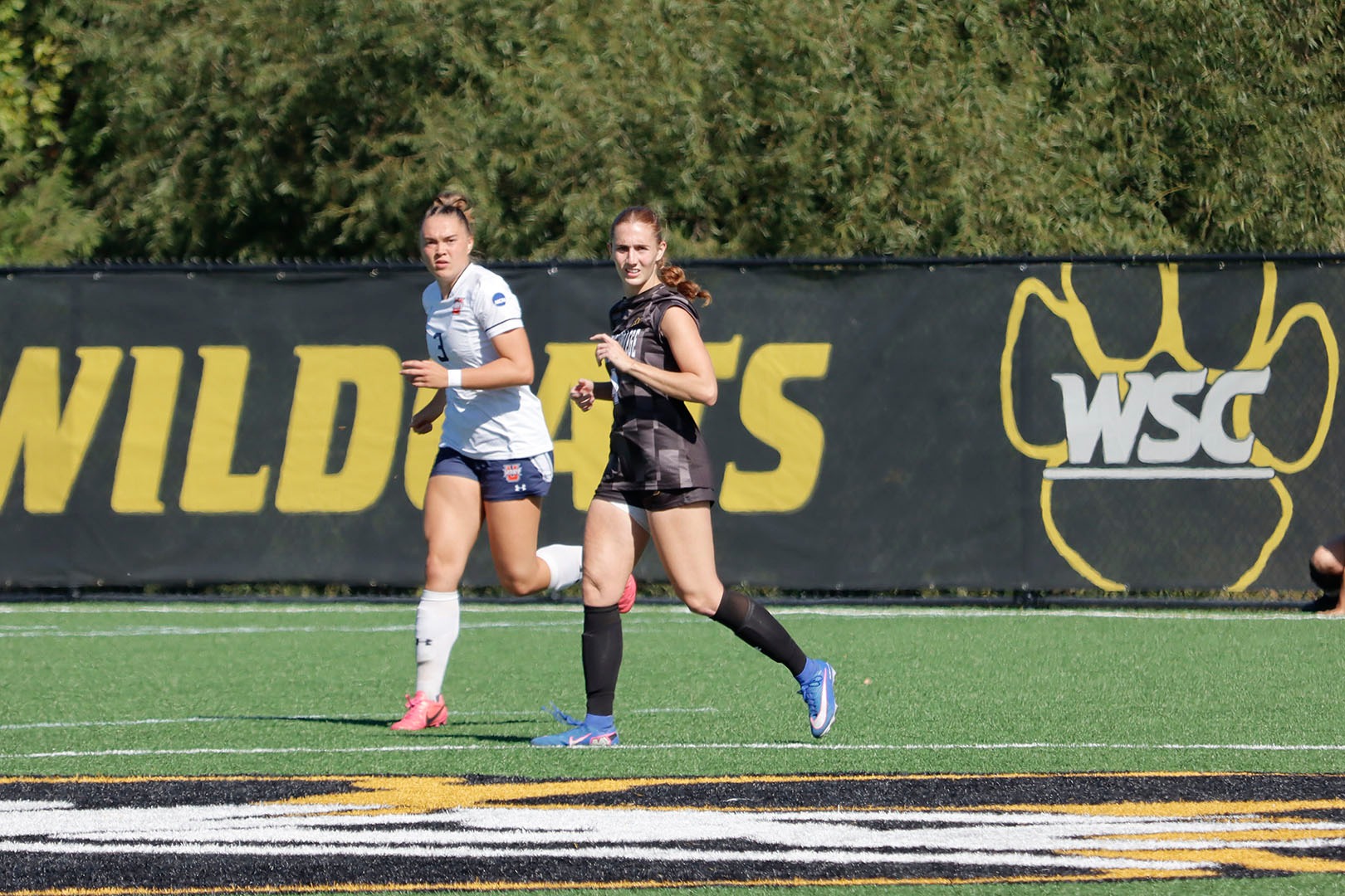 bri vs umary 
