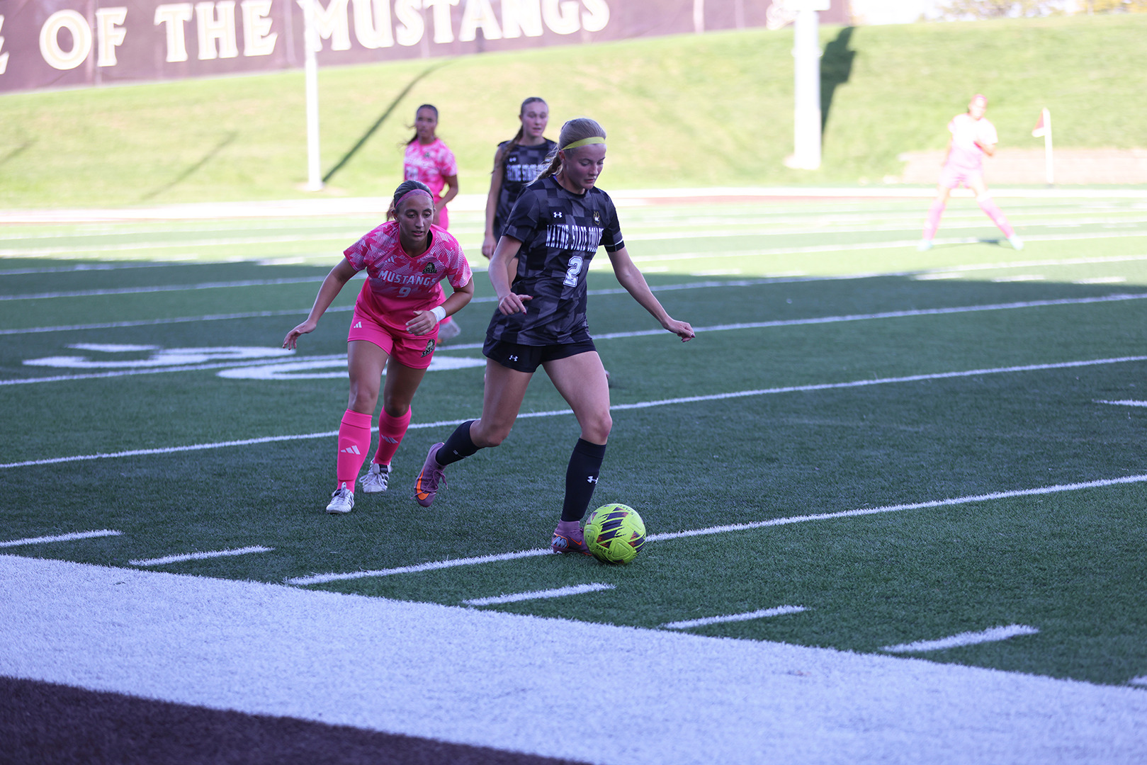 wsc smsu web
