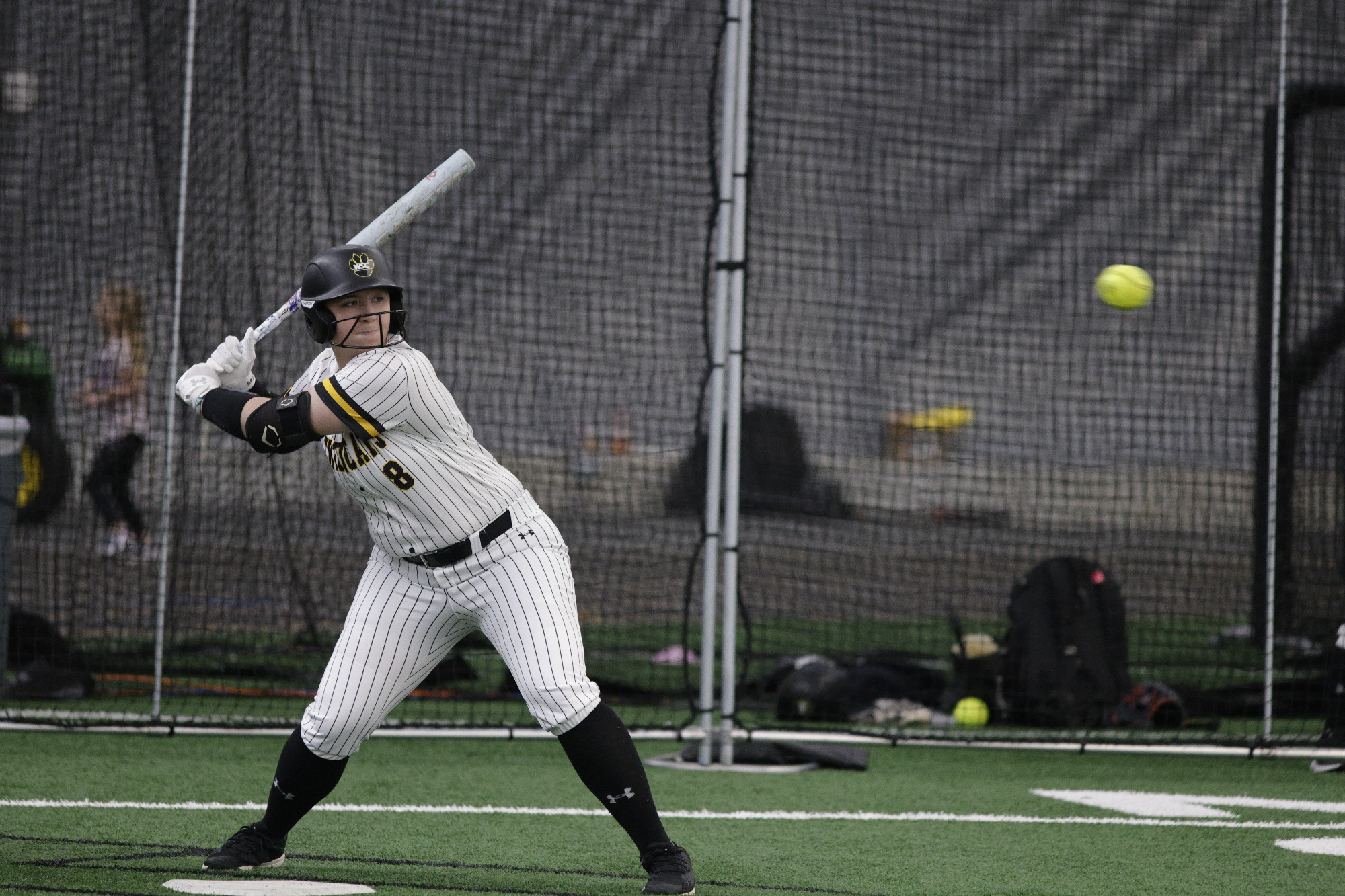 WAYNE STATE SOFTBALL. PHOTO BY BOB BERRY