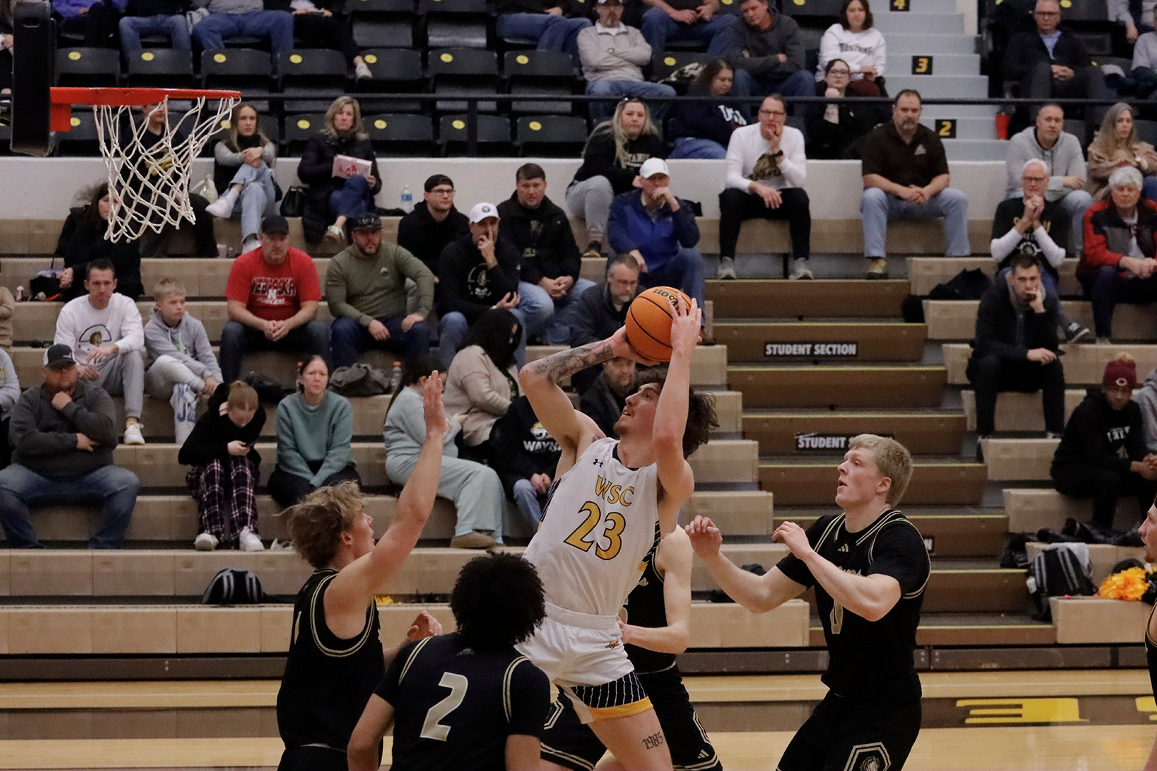 noll smsu web 022126