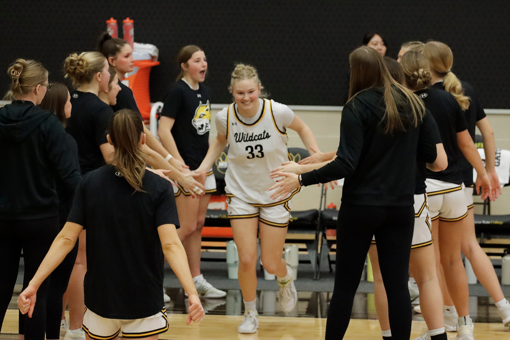 rietz wscwbbgamesnotes