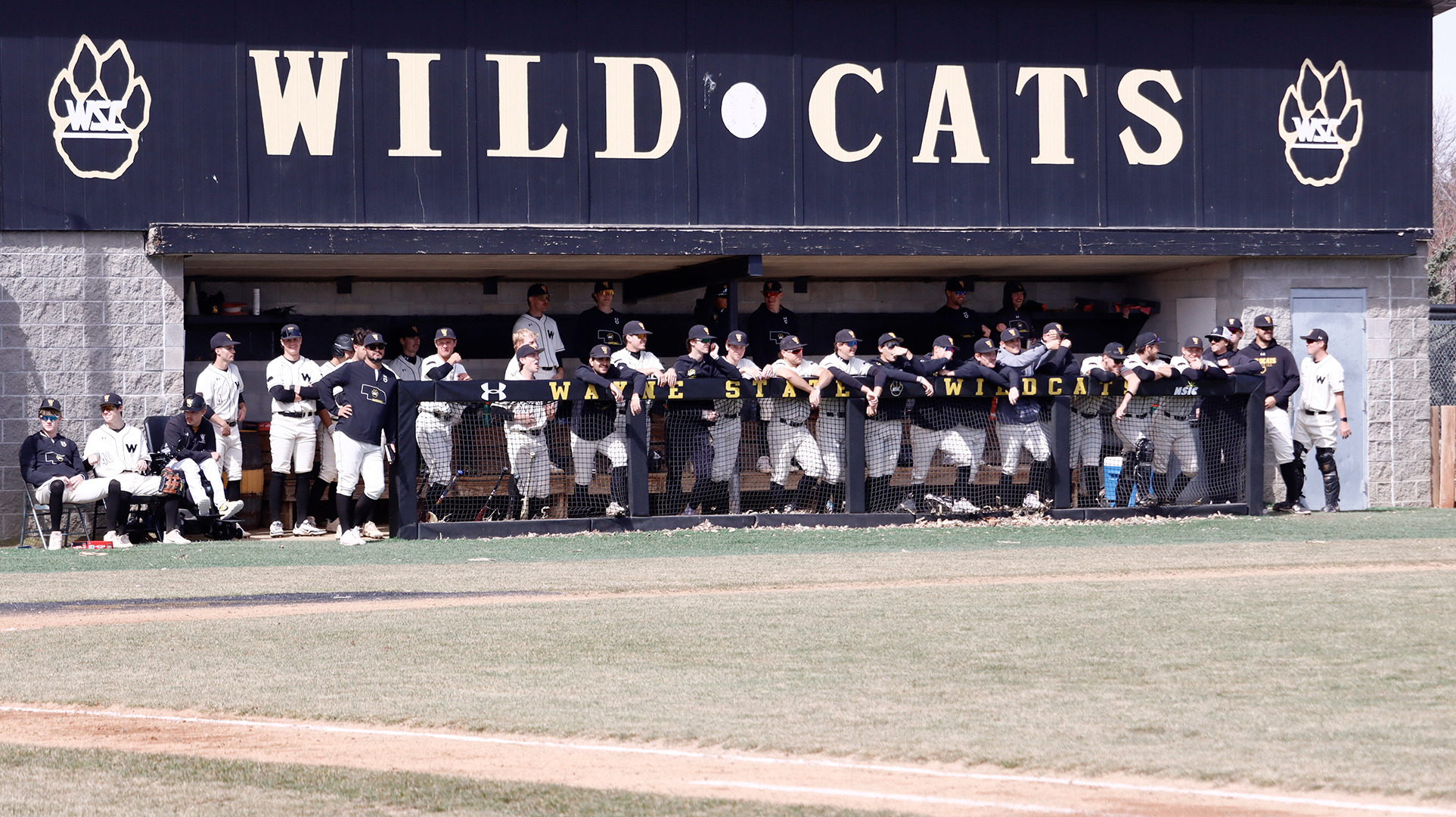 wscbase dugout genericweb26