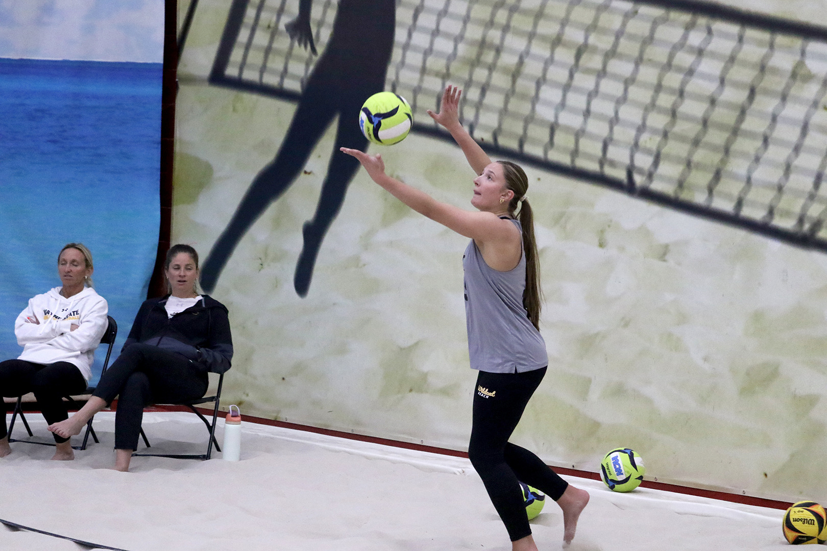 miller bene mesa web