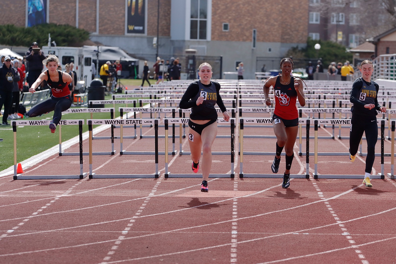 breylee winner hurdles