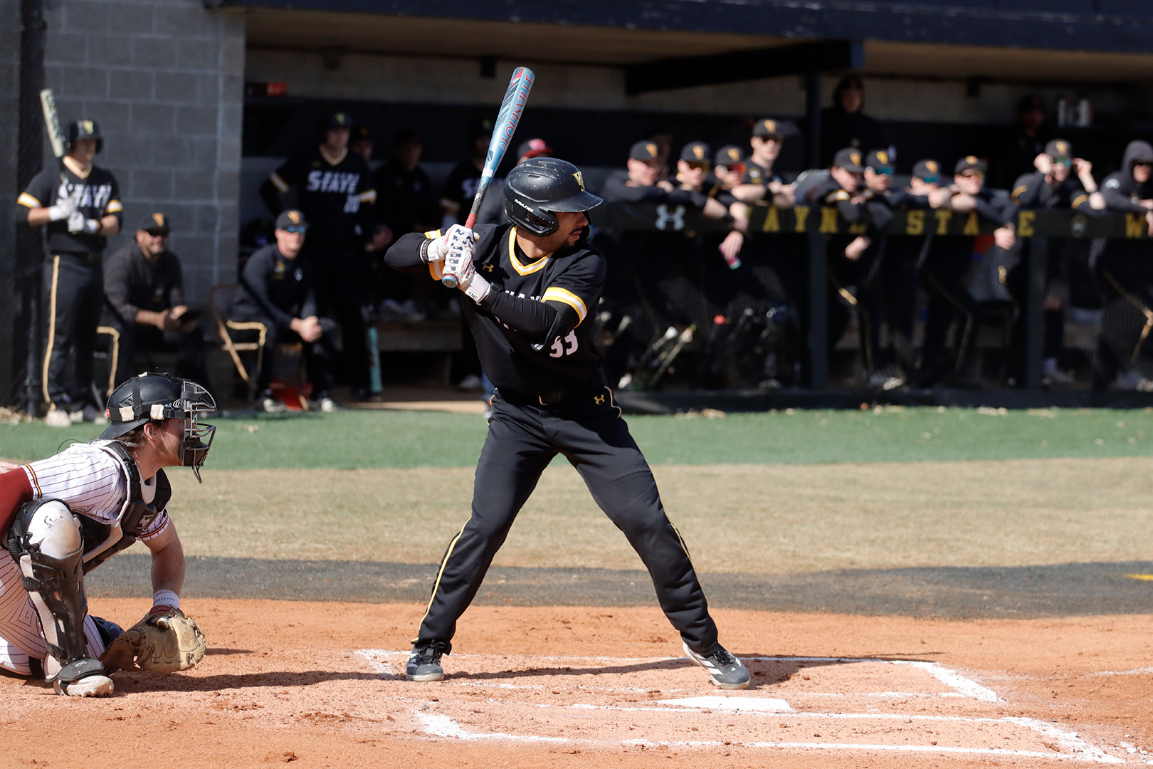 schuyler stanselm web