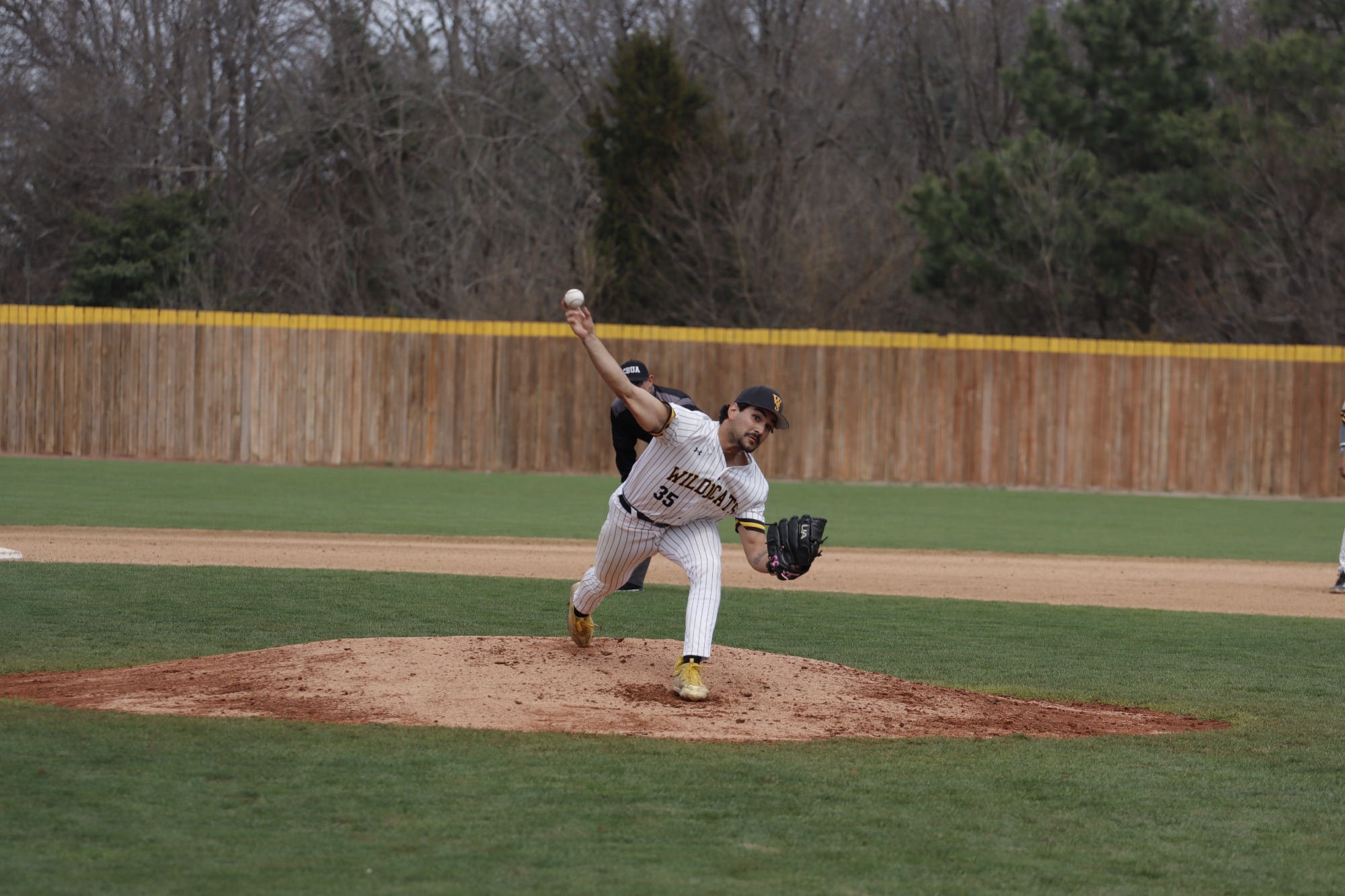 febus pitching vs usf