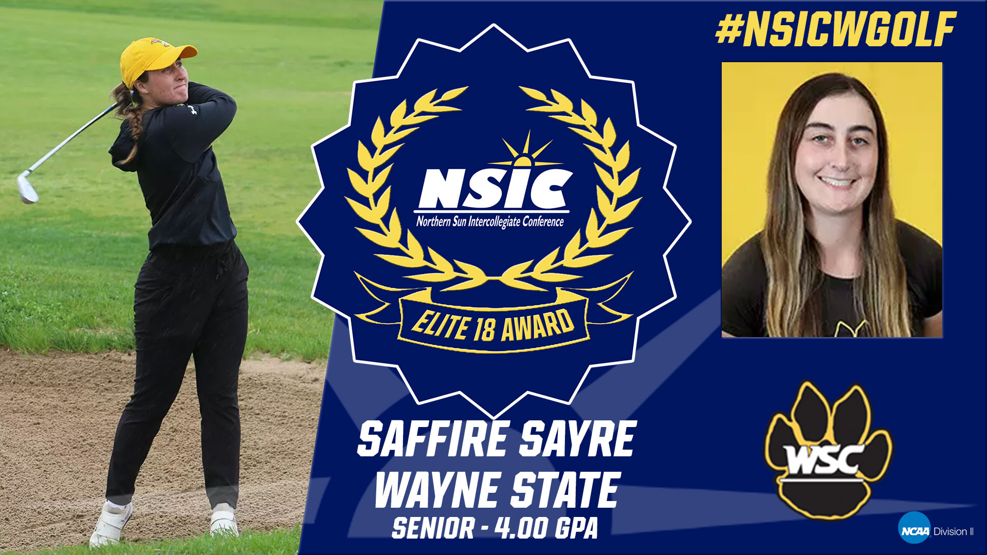 sayre nsicelite18 web