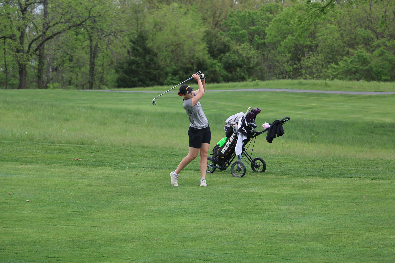 stancikova nsicday1 web