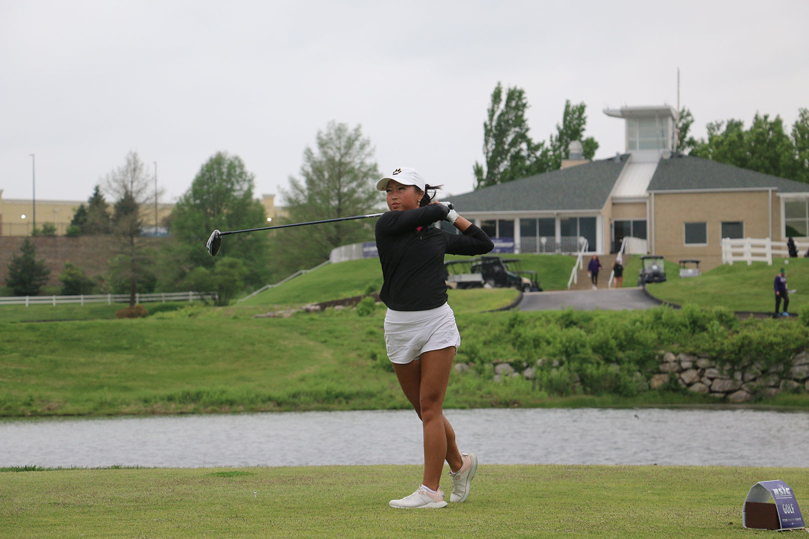 erica lee nsicday2 web