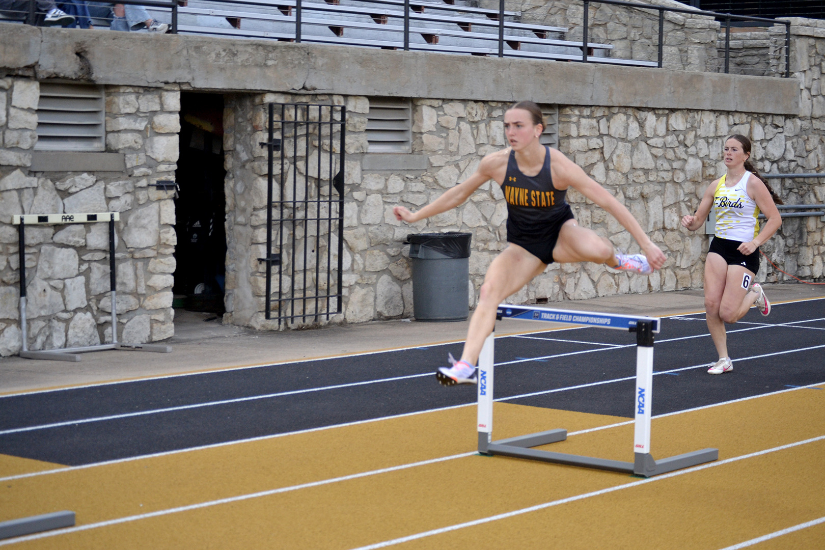 murphy esu classic web