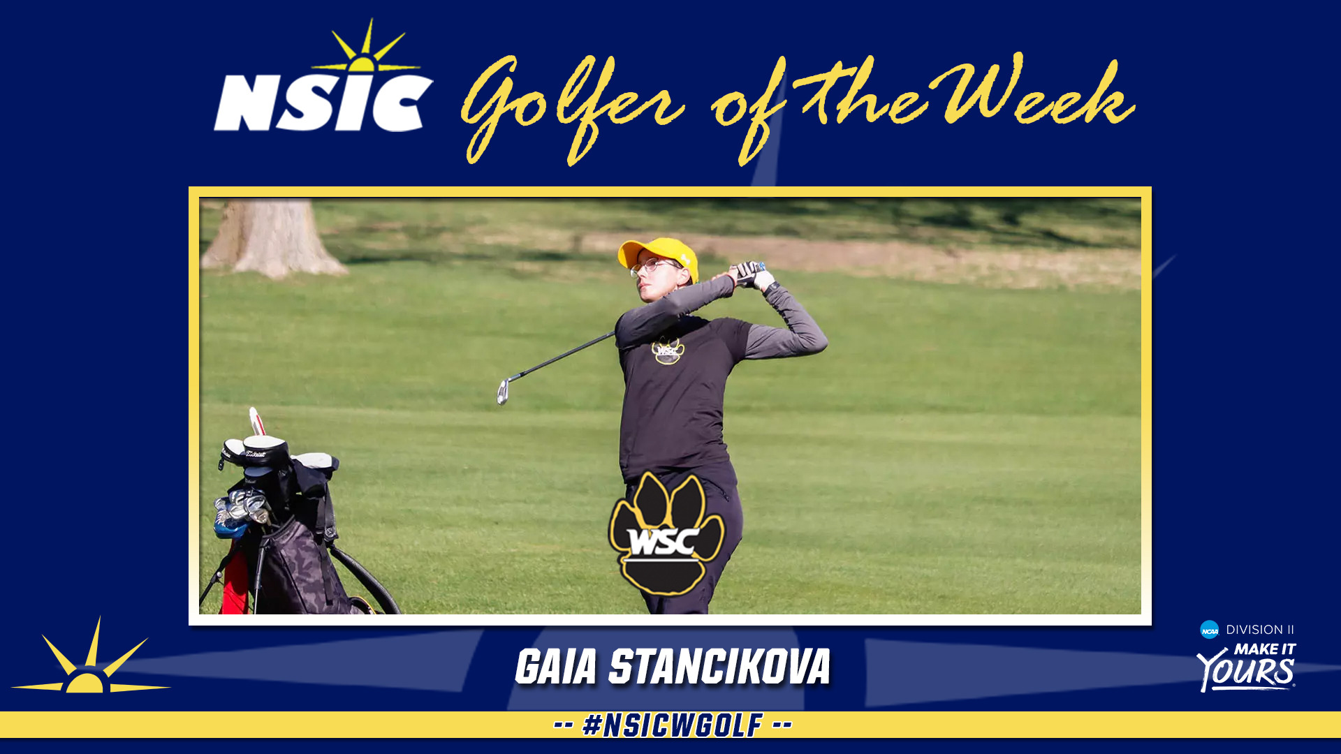 stancikova nsicpow web