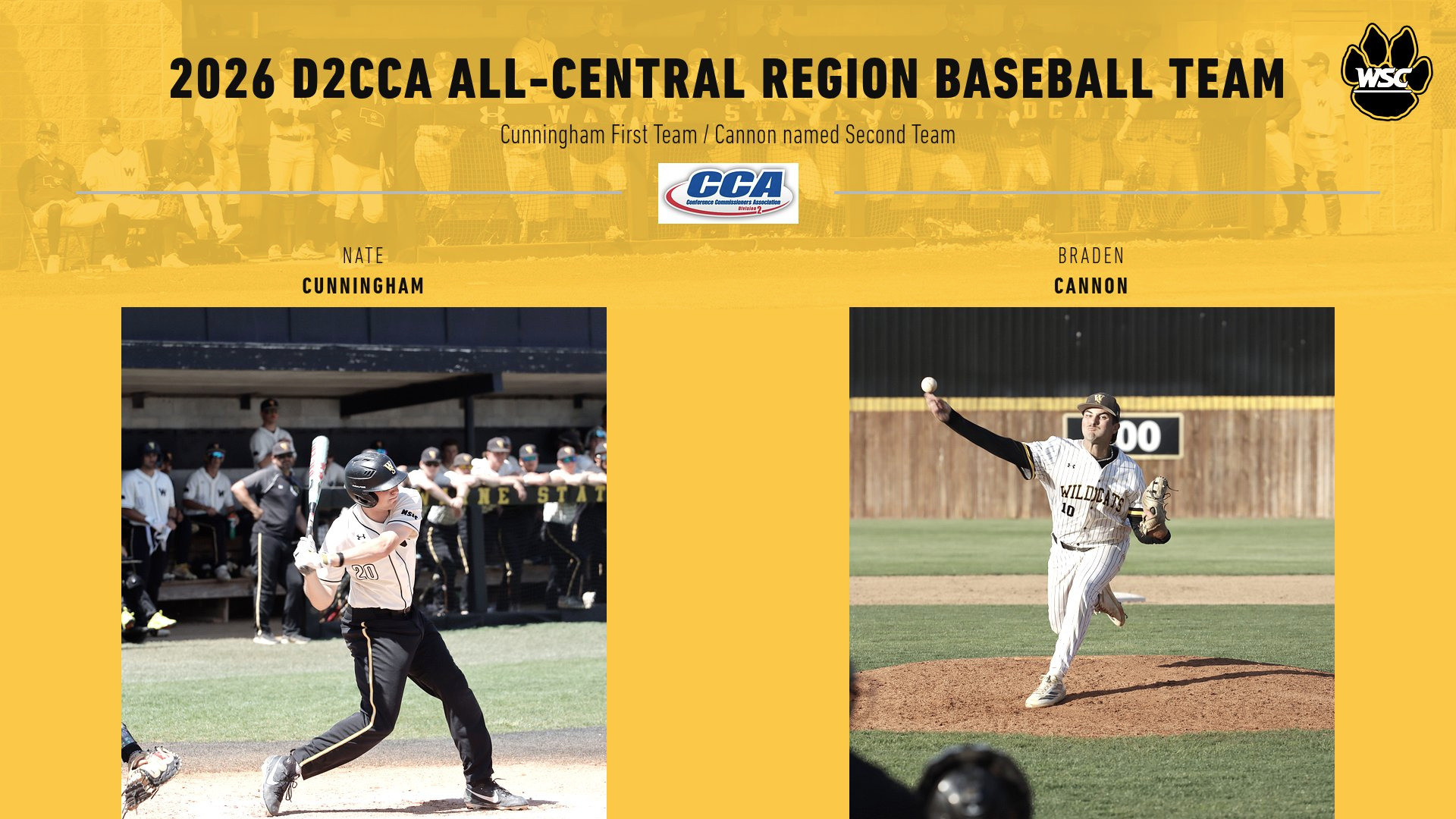 d2cca allregion baseball web