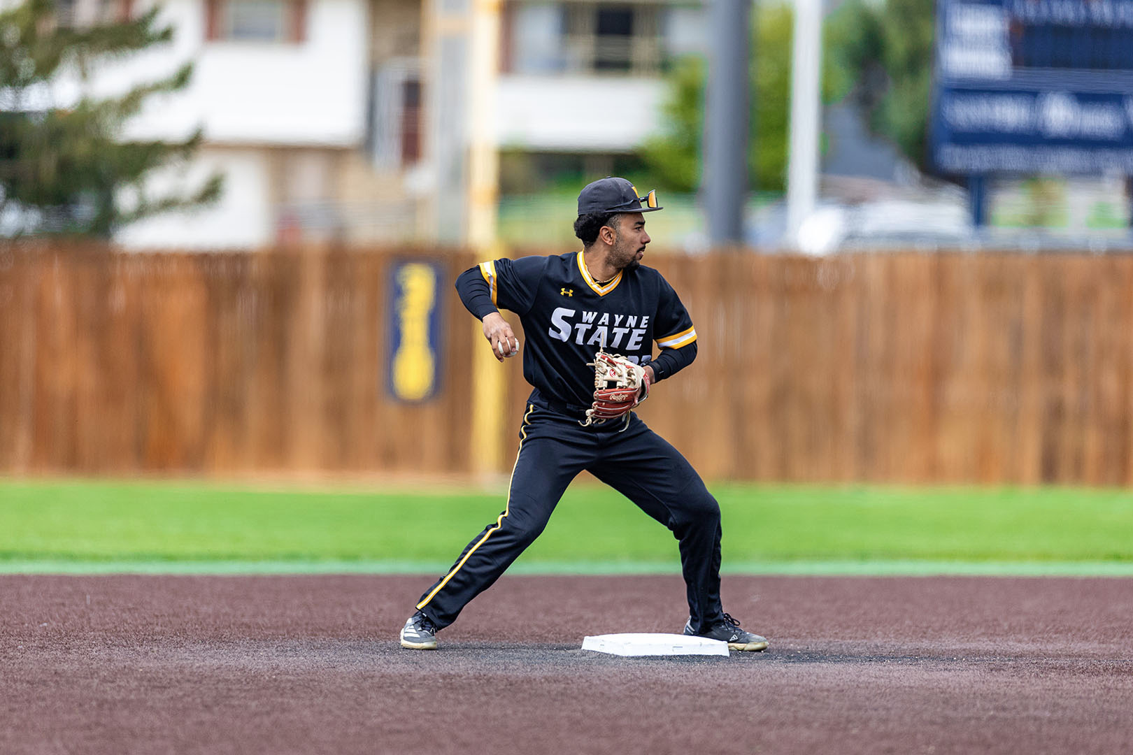 wsc usf nsic web