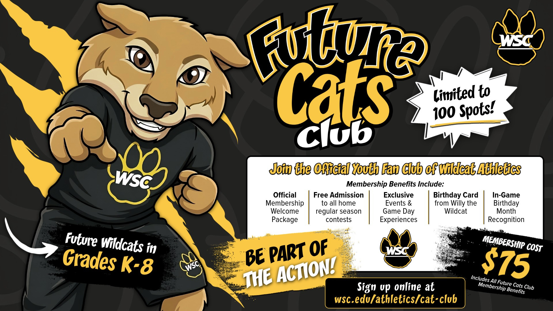 Future Cats 26_27