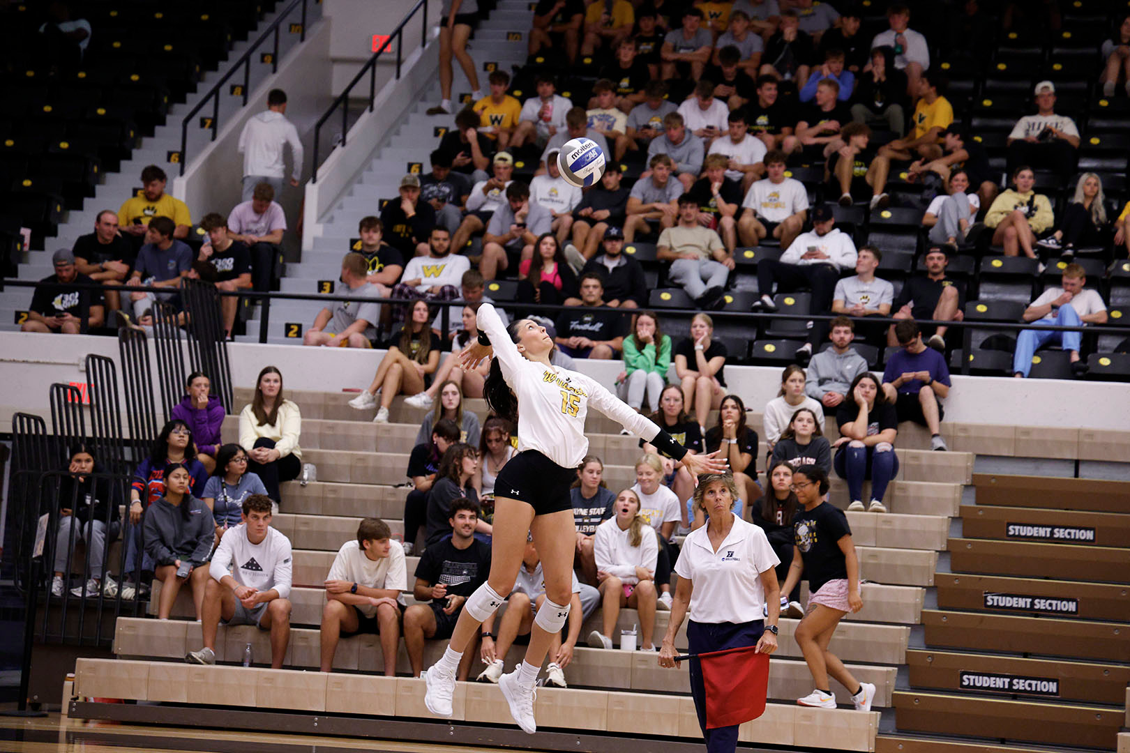 robles serve web