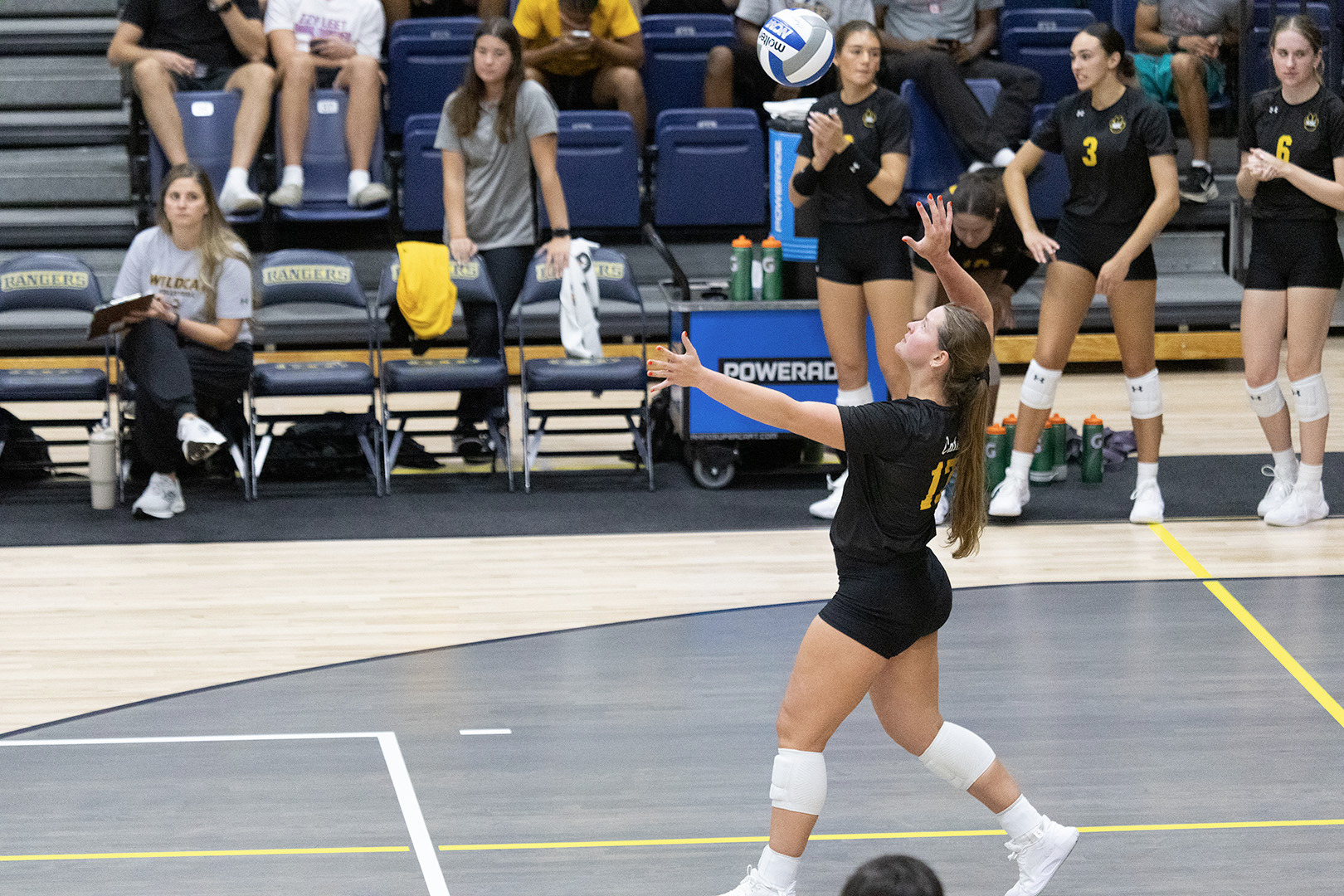 wscvb ferris web 090526