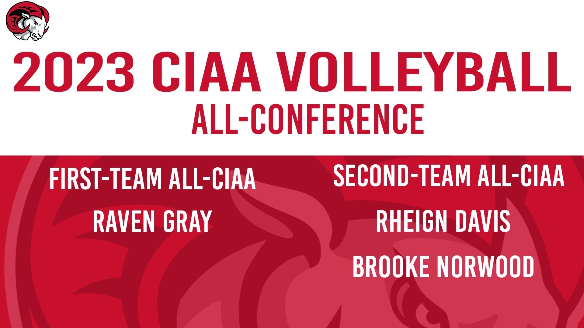 Volleyball Announces 2023 Schedule WinstonSalem State University