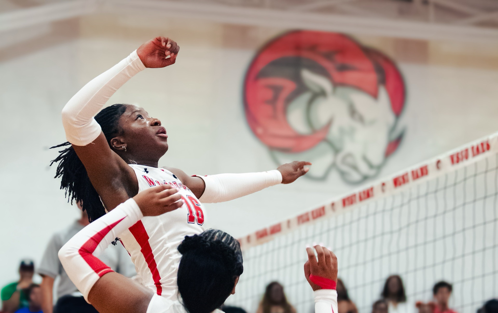 WSSU v FSU VB Recap