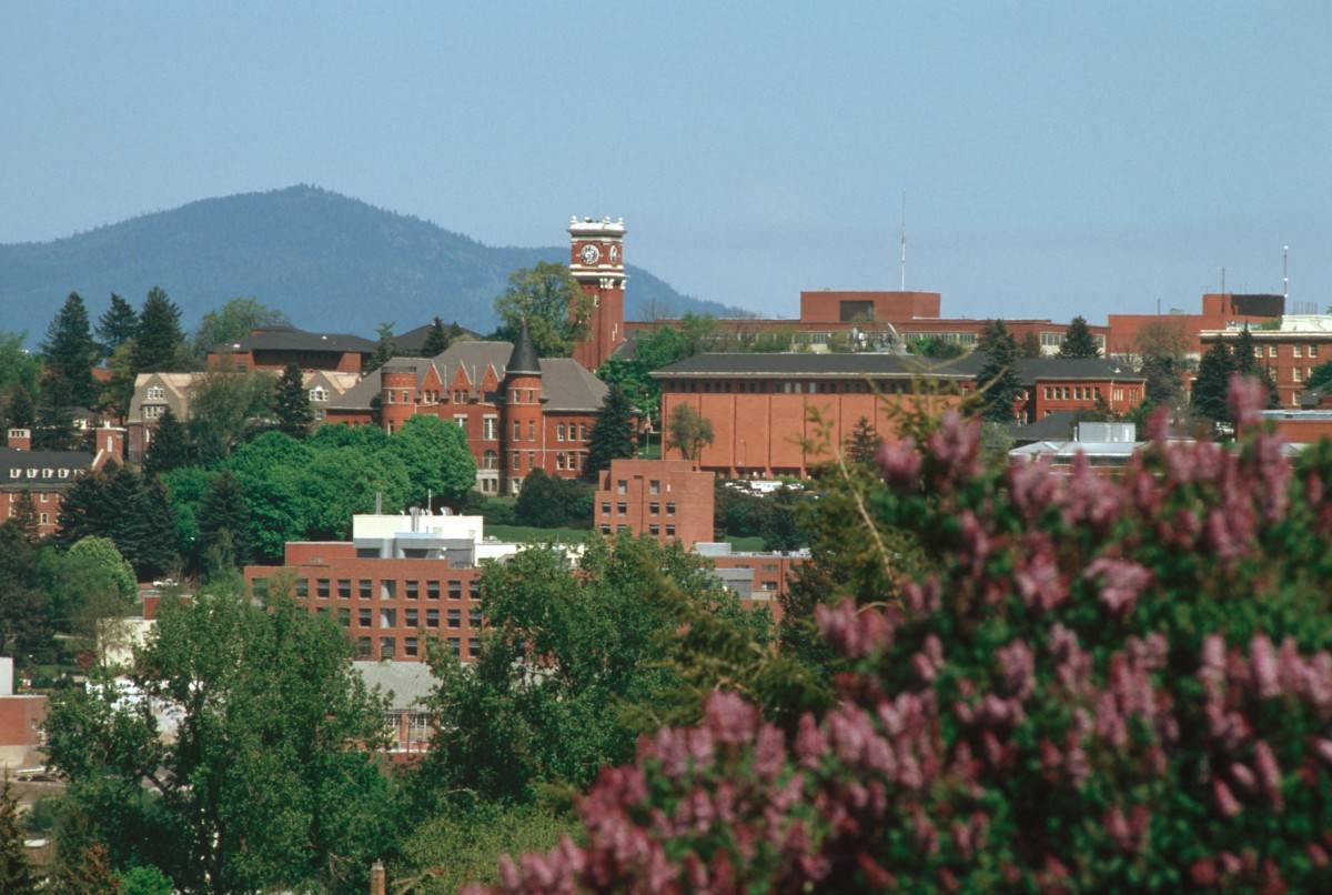 WSU campus