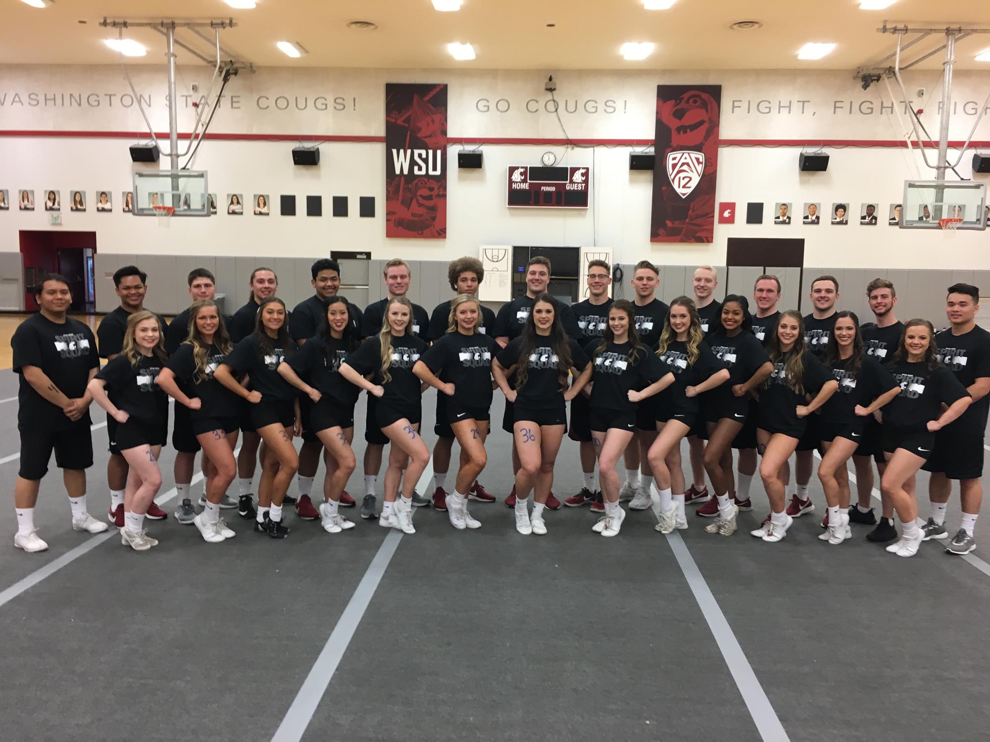 2019-20 Cheer Squad