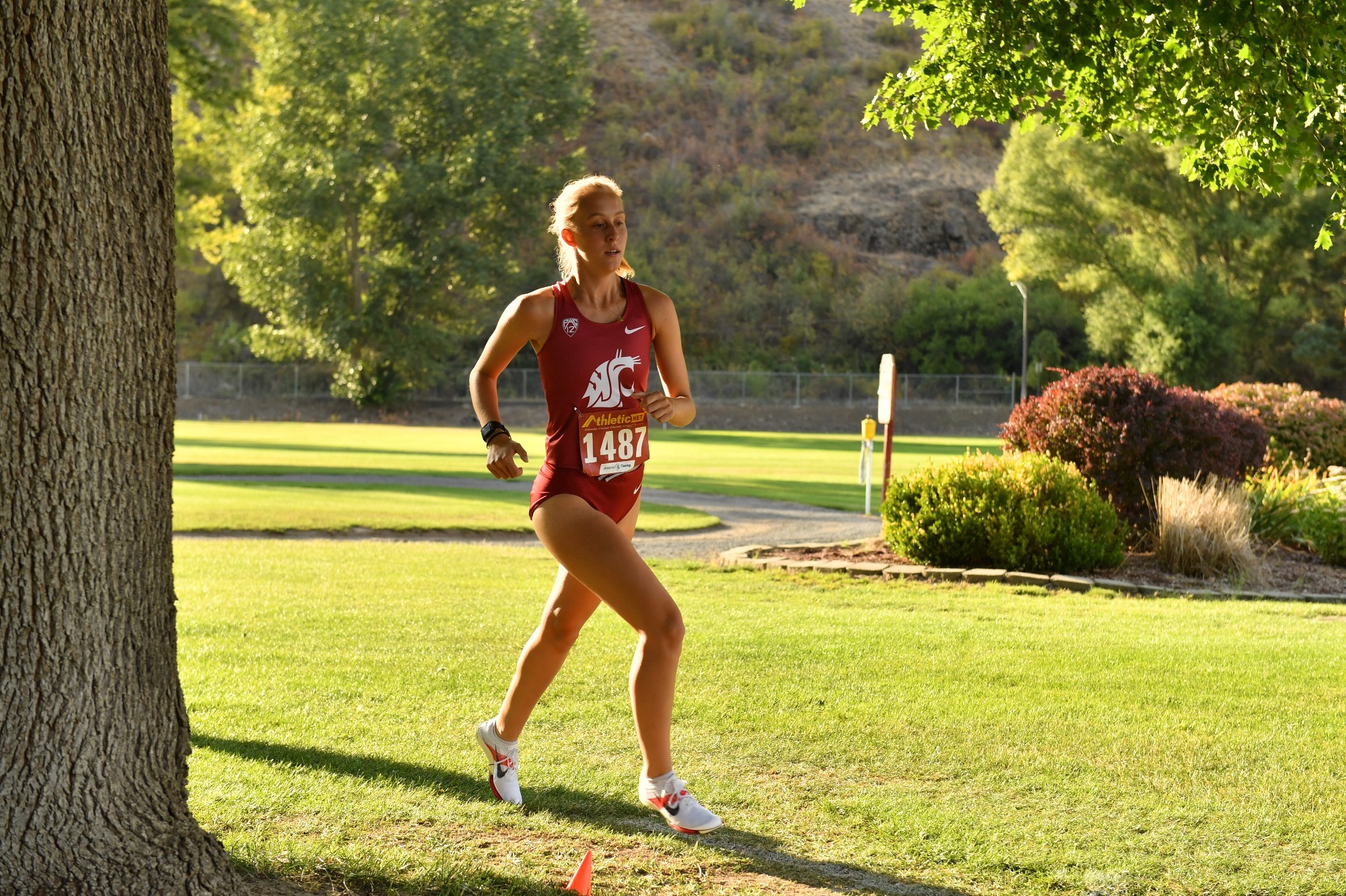 Sophia Cushman Cross Country Washington State University Athletics