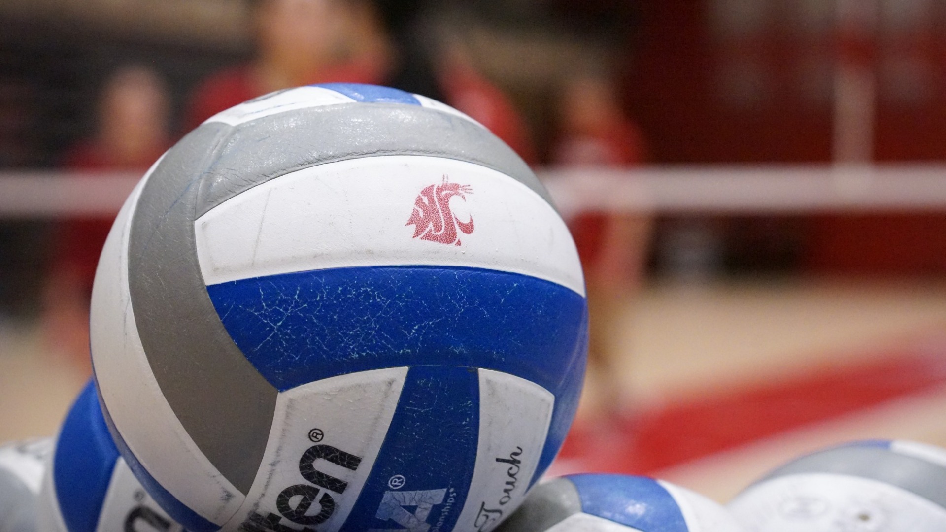 WSU Volleyball Practice