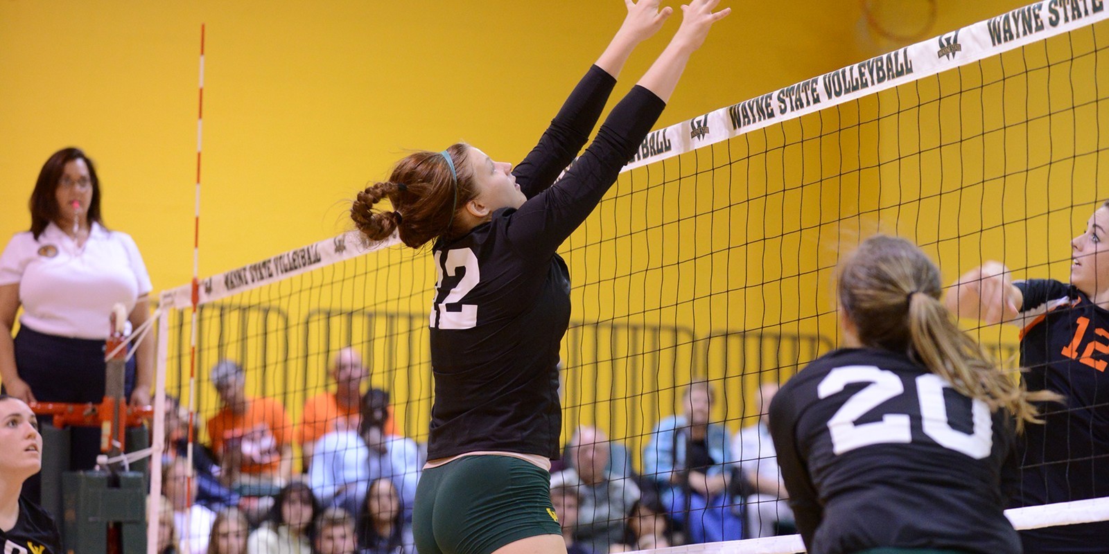 Grace Frazee Volleyball Wayne State University Athletics