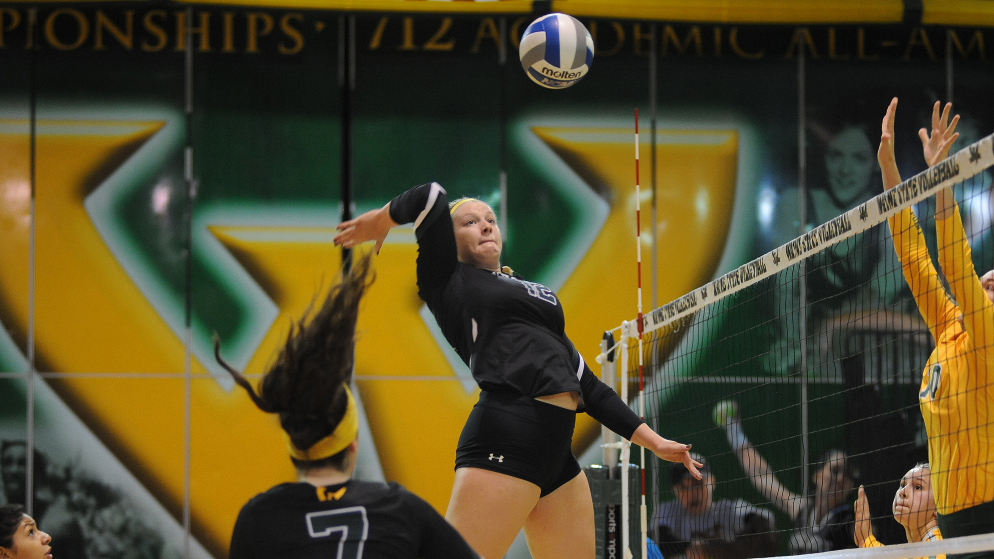 Grace Frazee Volleyball Wayne State University Athletics