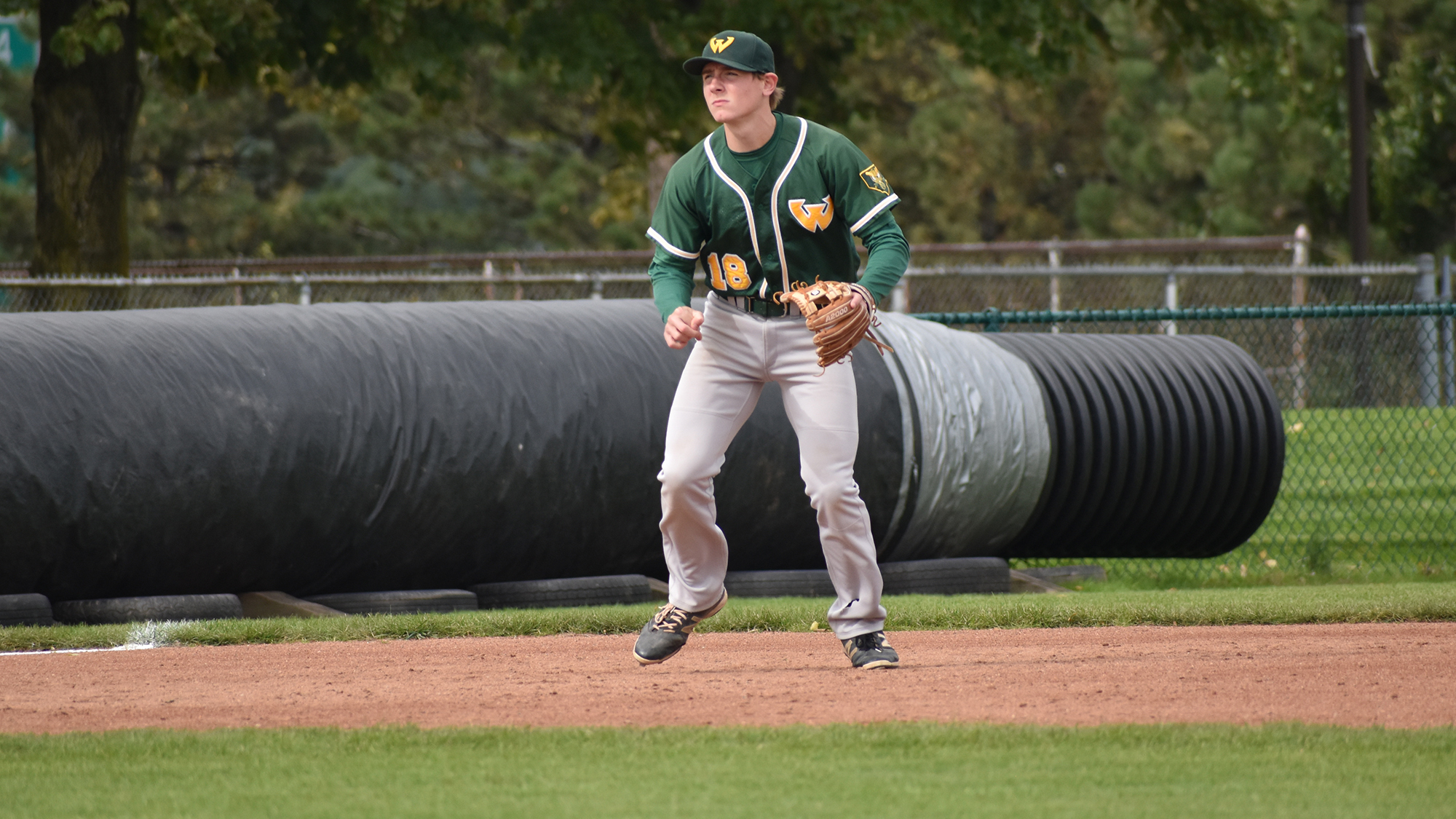 Max Hendricks Baseball Wayne State University Athletics