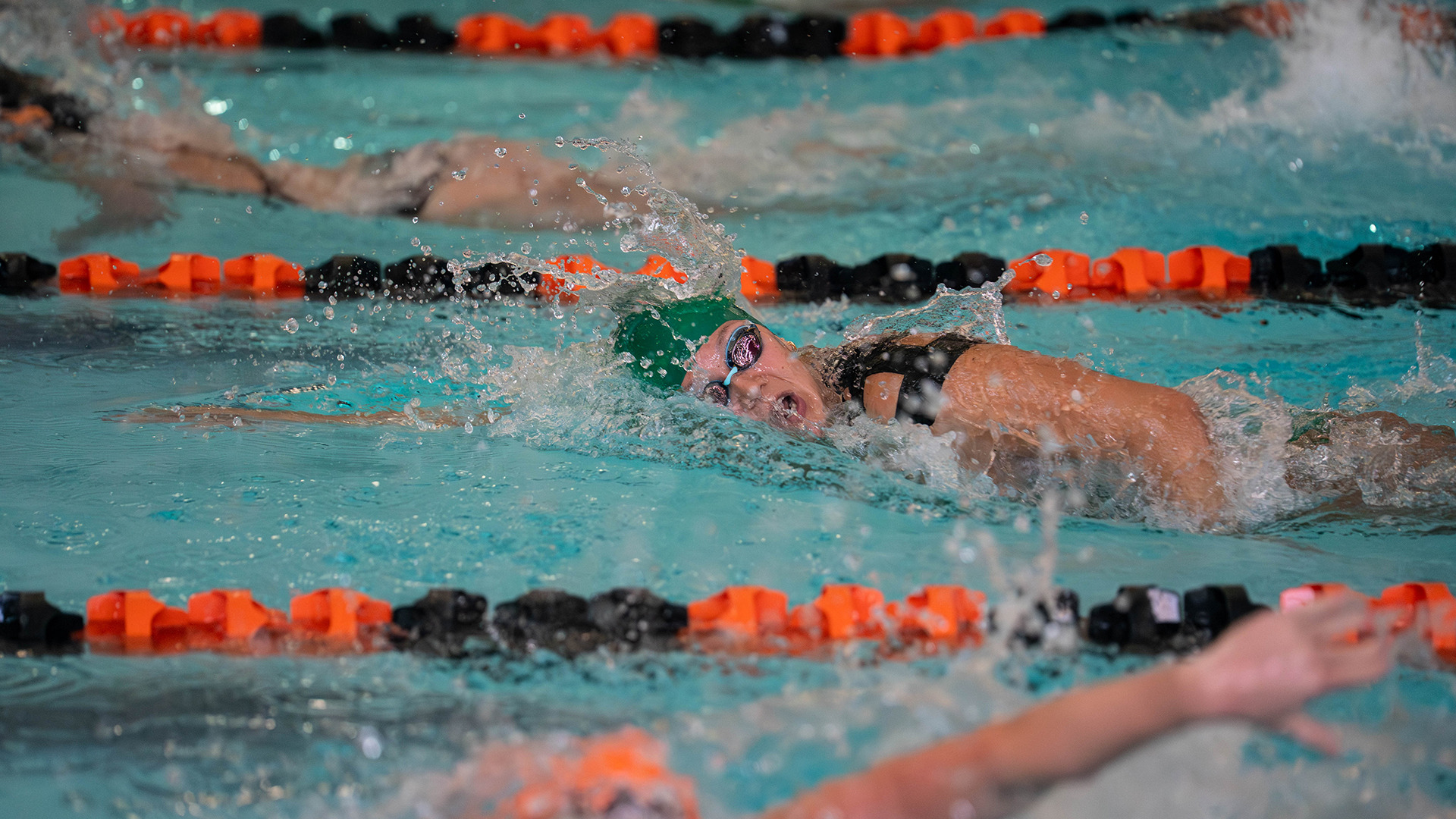 Danika Fessenden - 2025-26 at Findlay