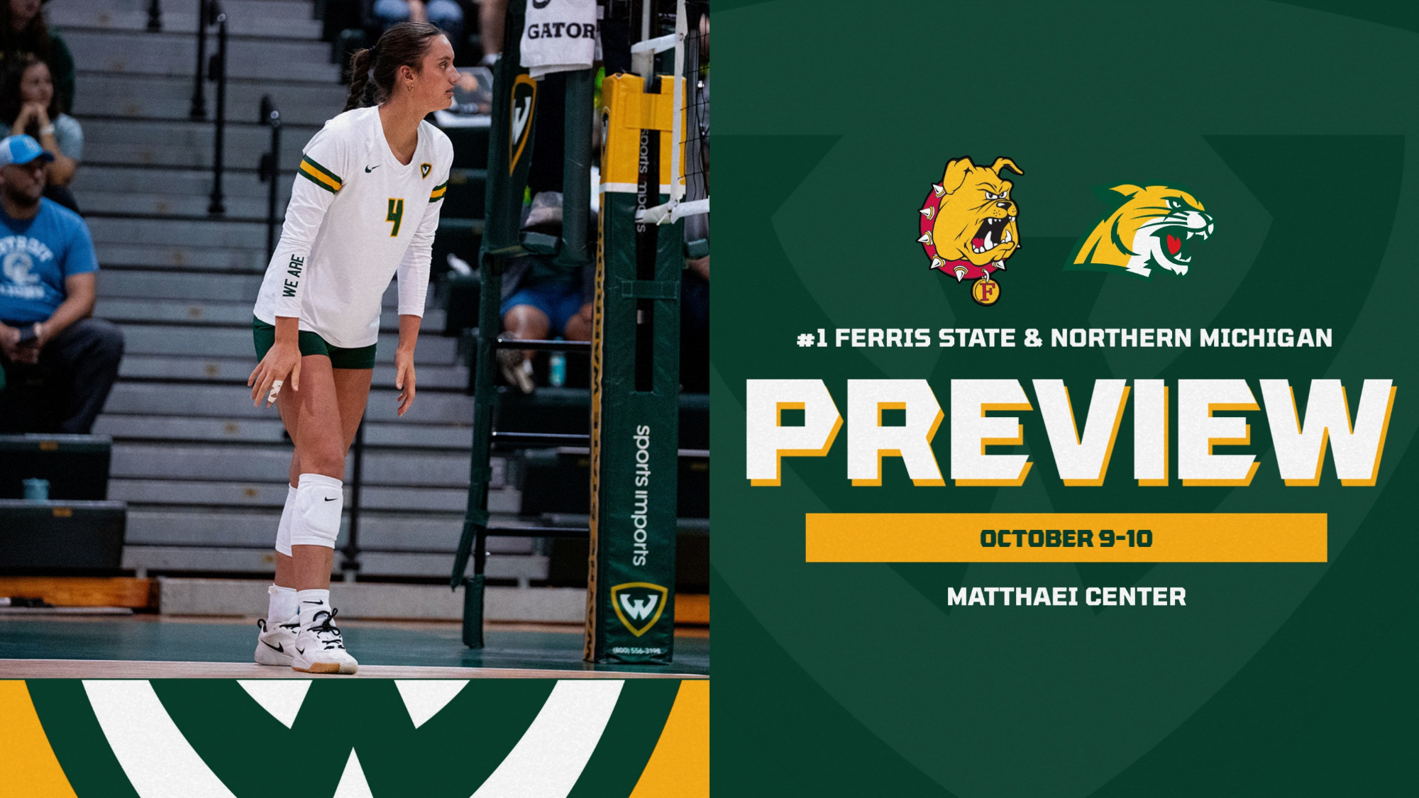 VB Preview - FSU & NMU Home