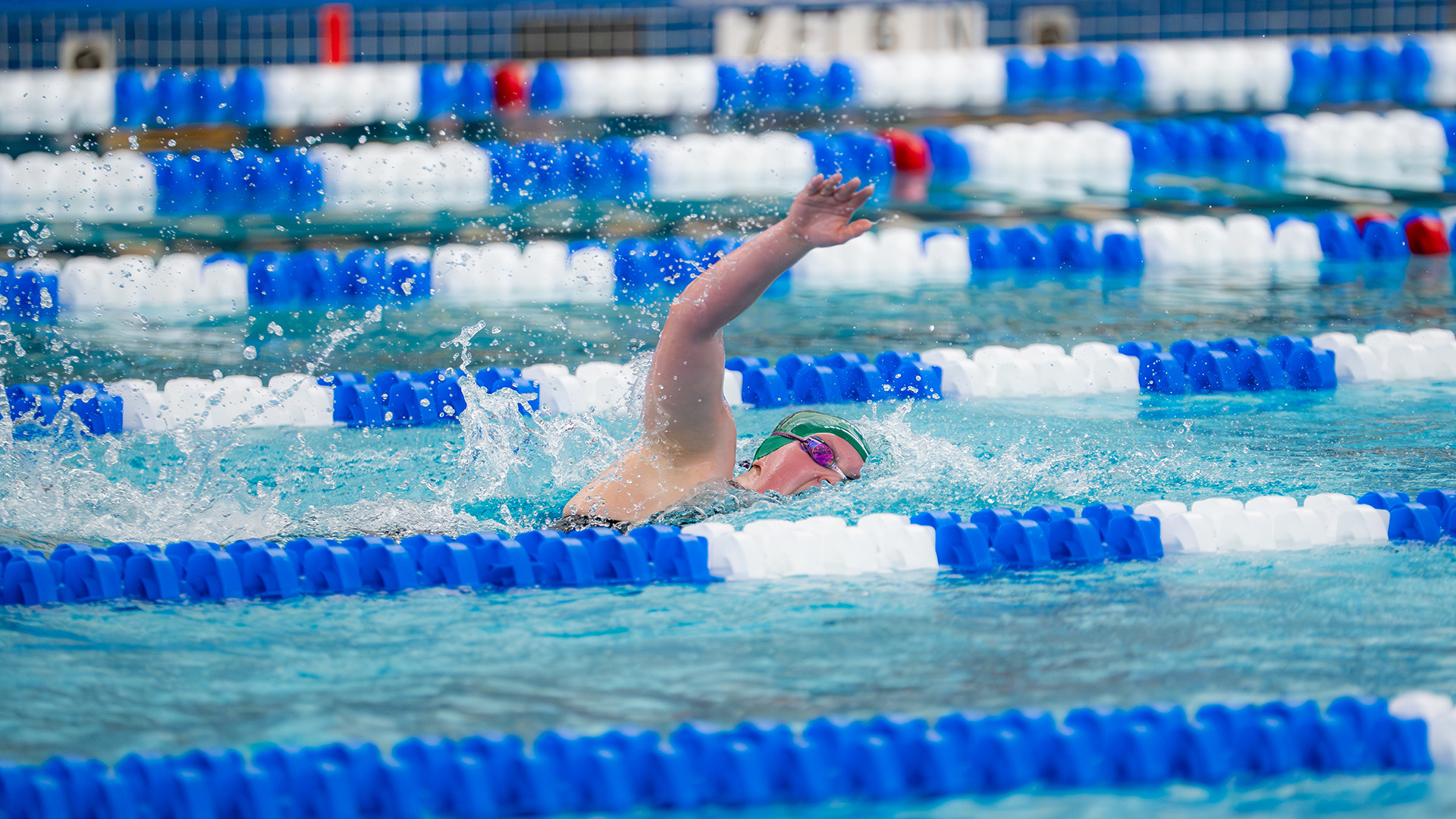 Diana Muccioli - 2025-26 NCAA Championships - 1000 Free Prelims