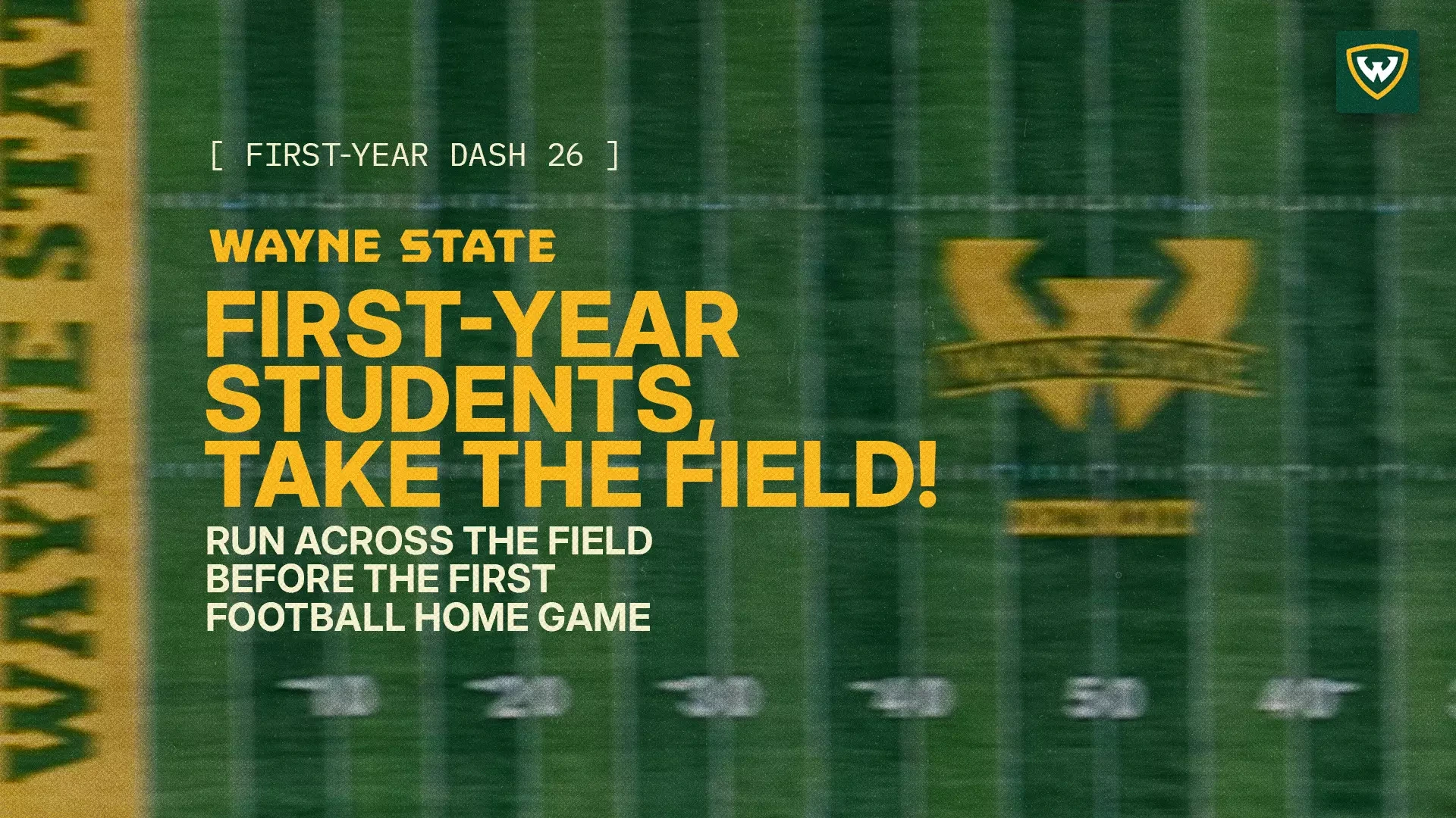 First-Year Dash Story Graphic