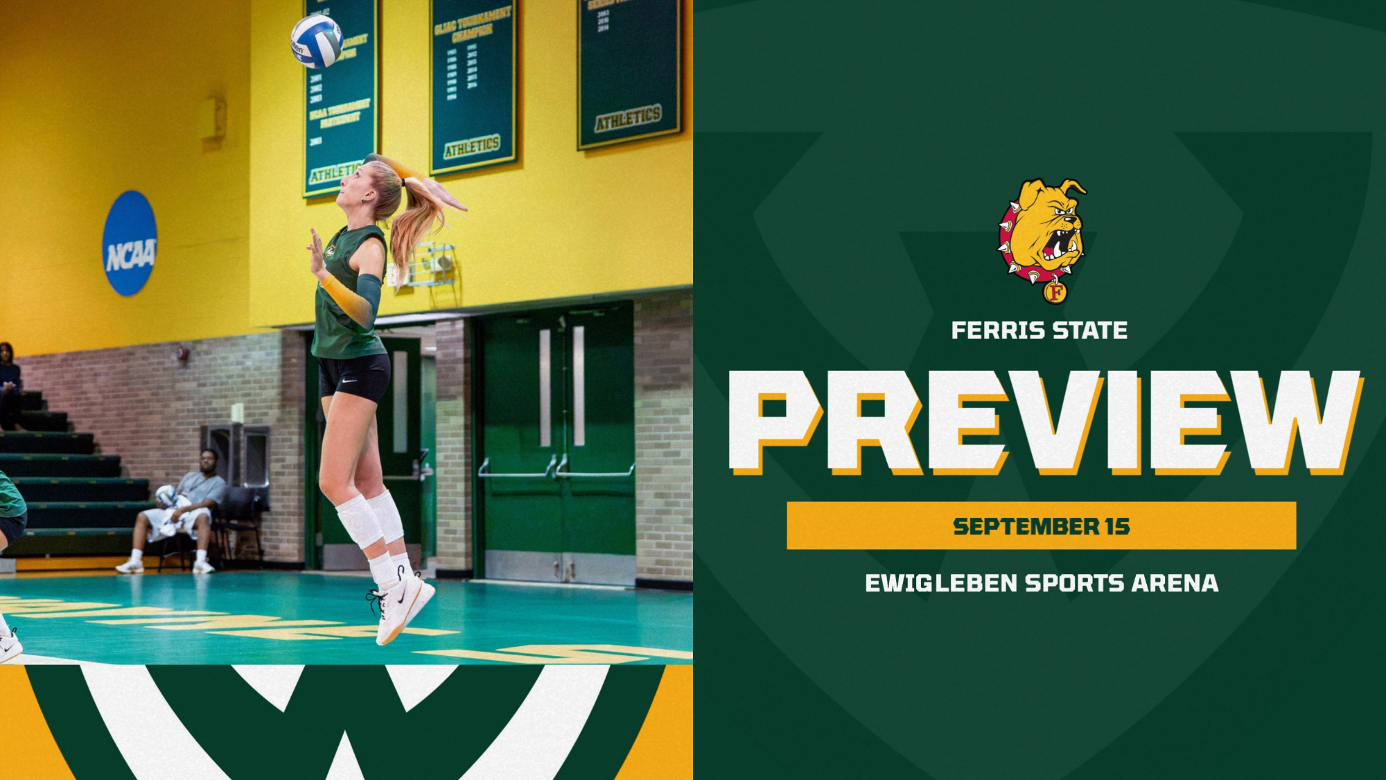 VB Preview - at Ferris State