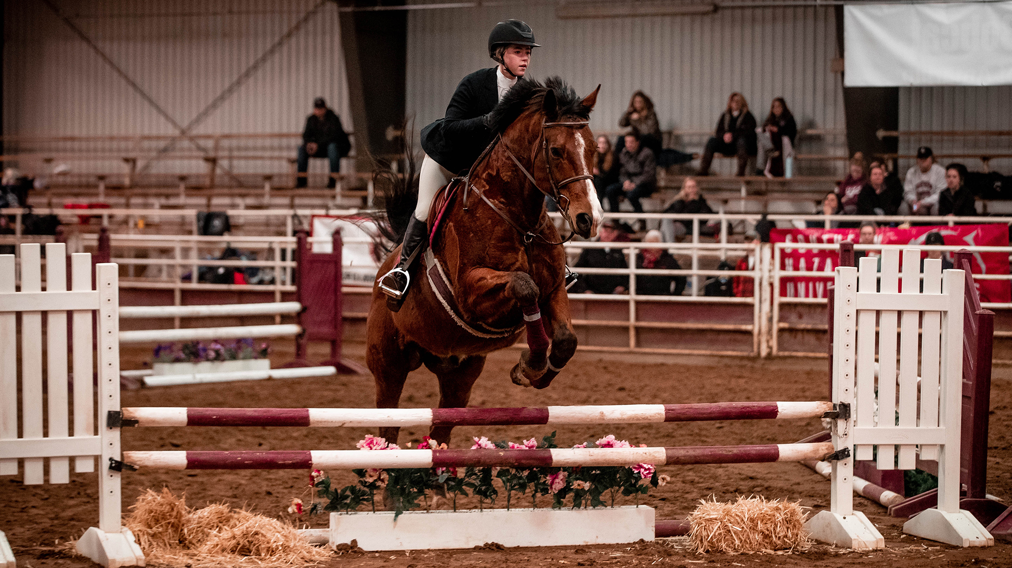 Klarissa Barley 2020