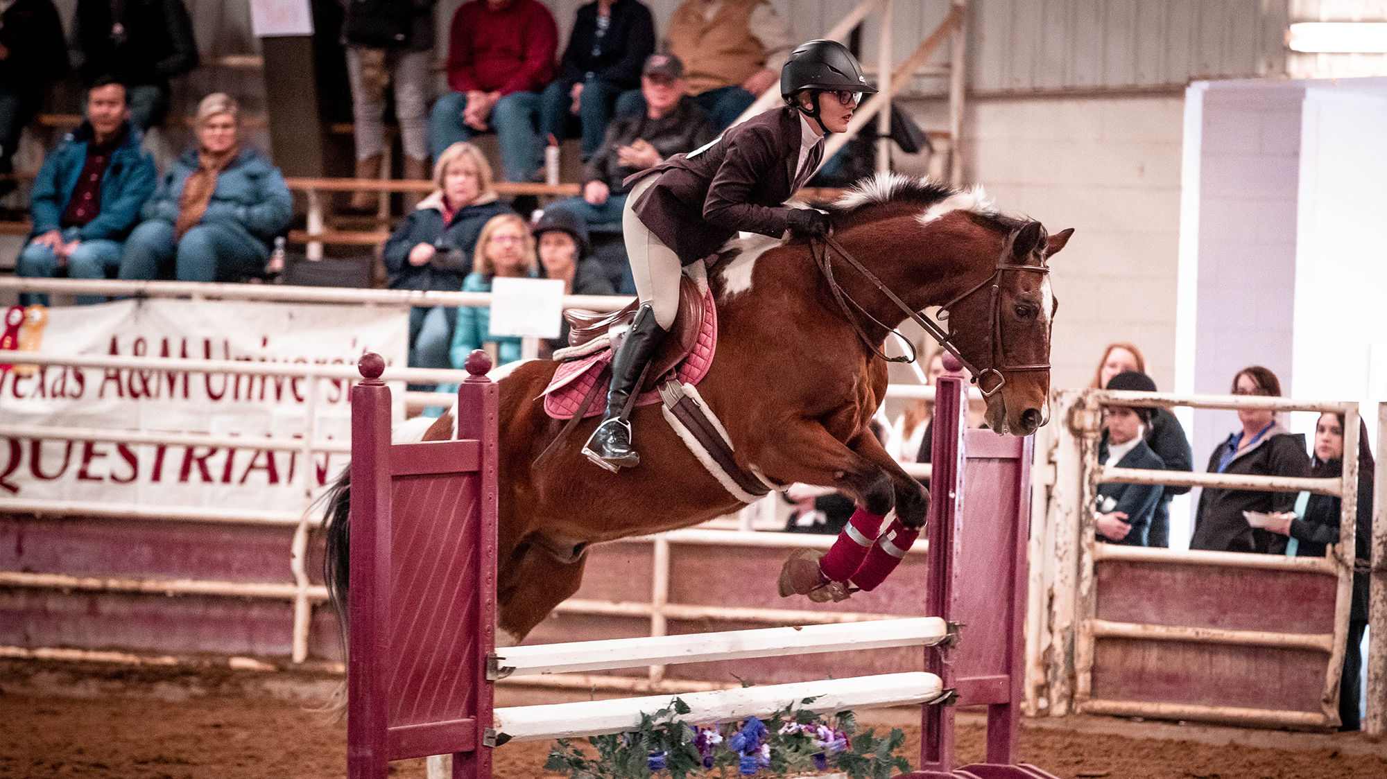 Equestrian Hunt Seat 2020