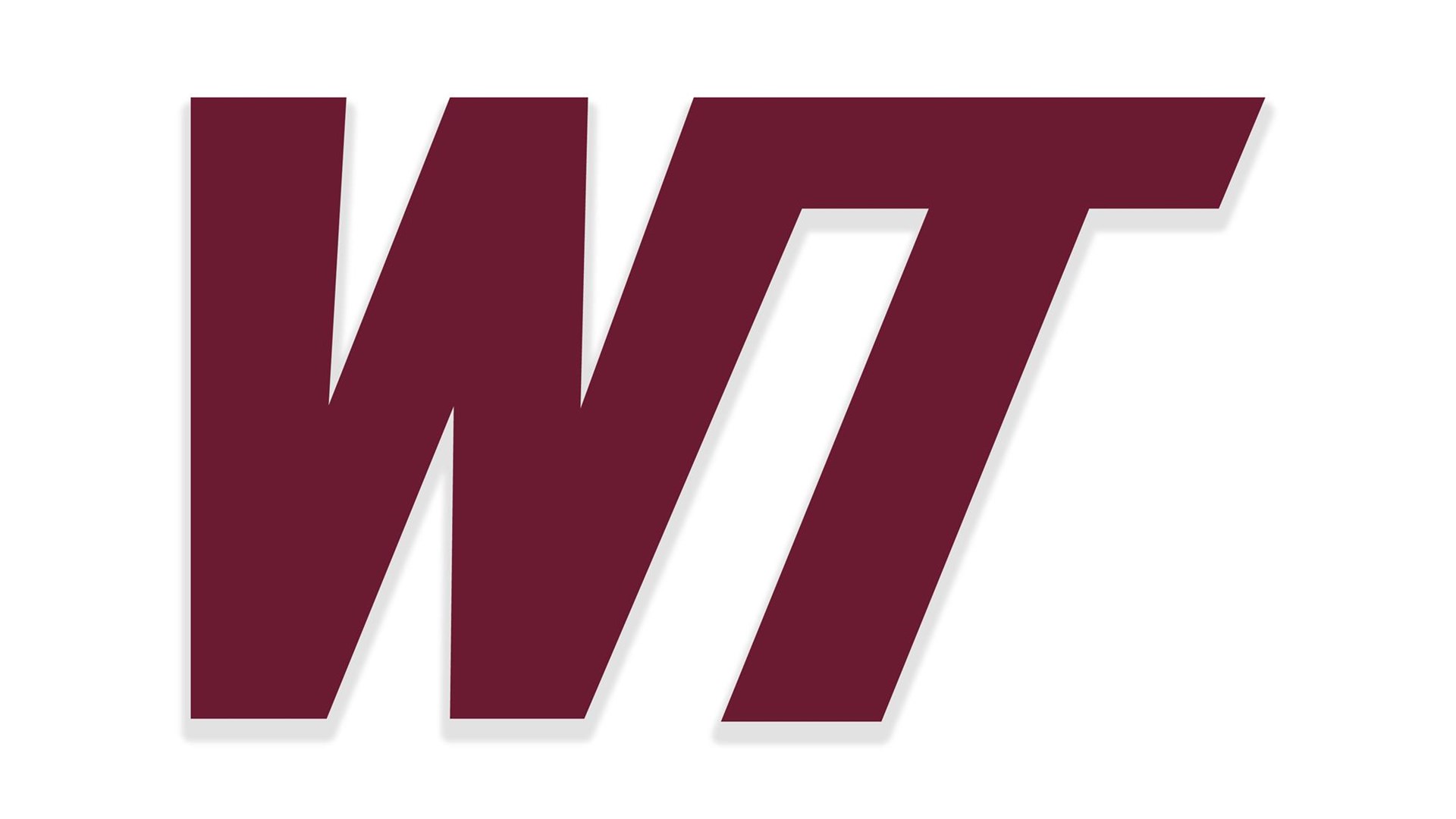 WT Logo Generic
