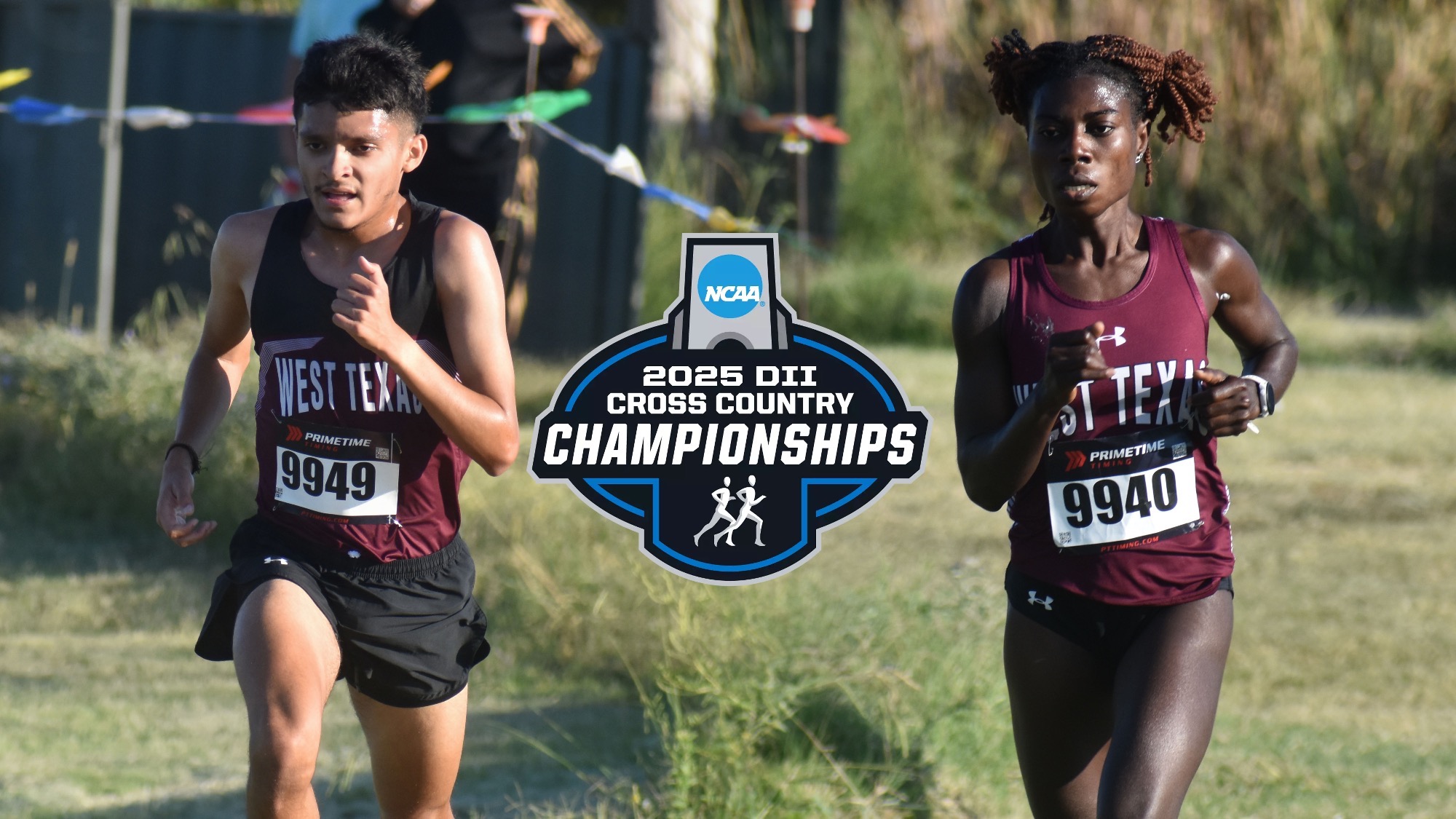 NCAA XC Preview