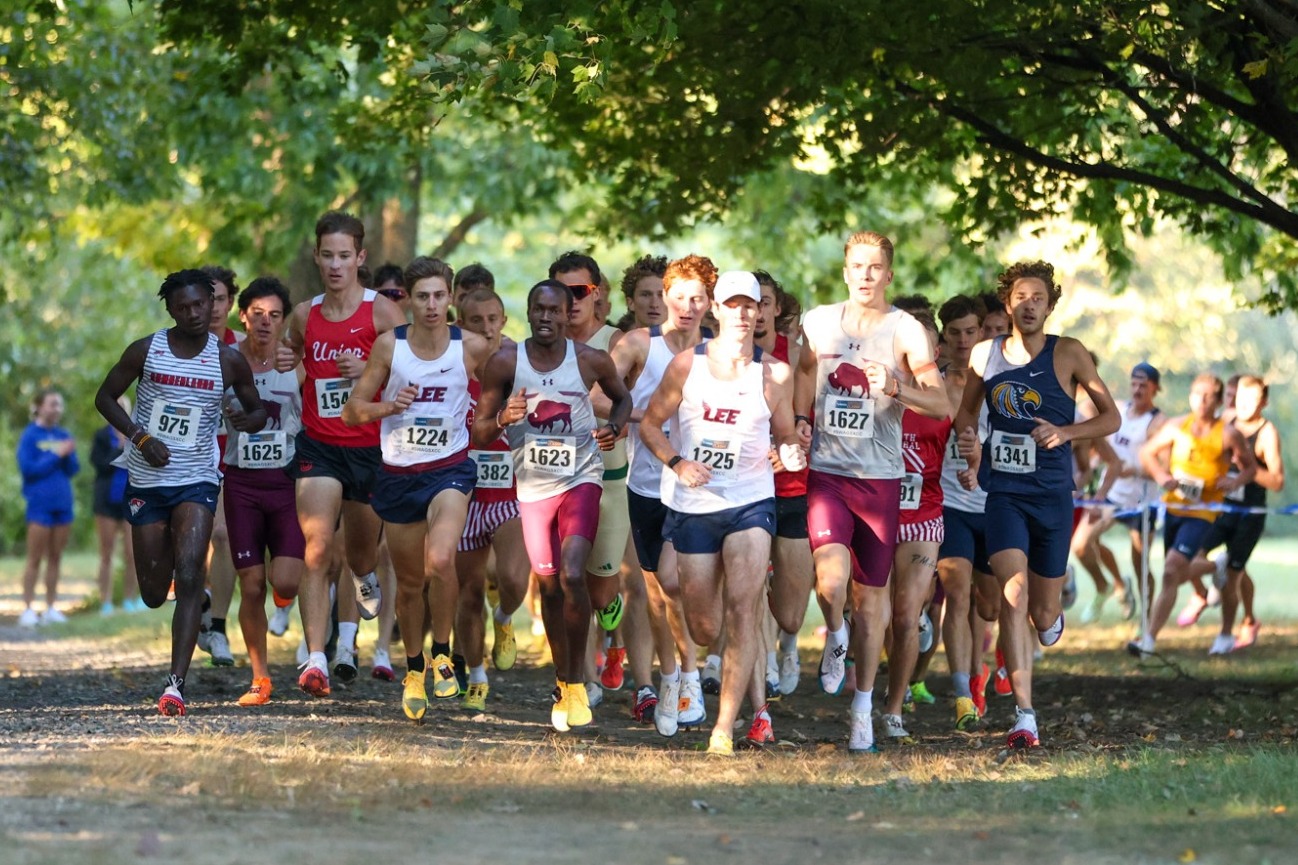 MXC Group