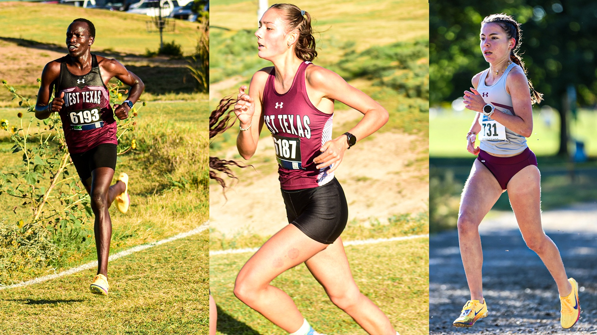 LSC Weekly sweep XC