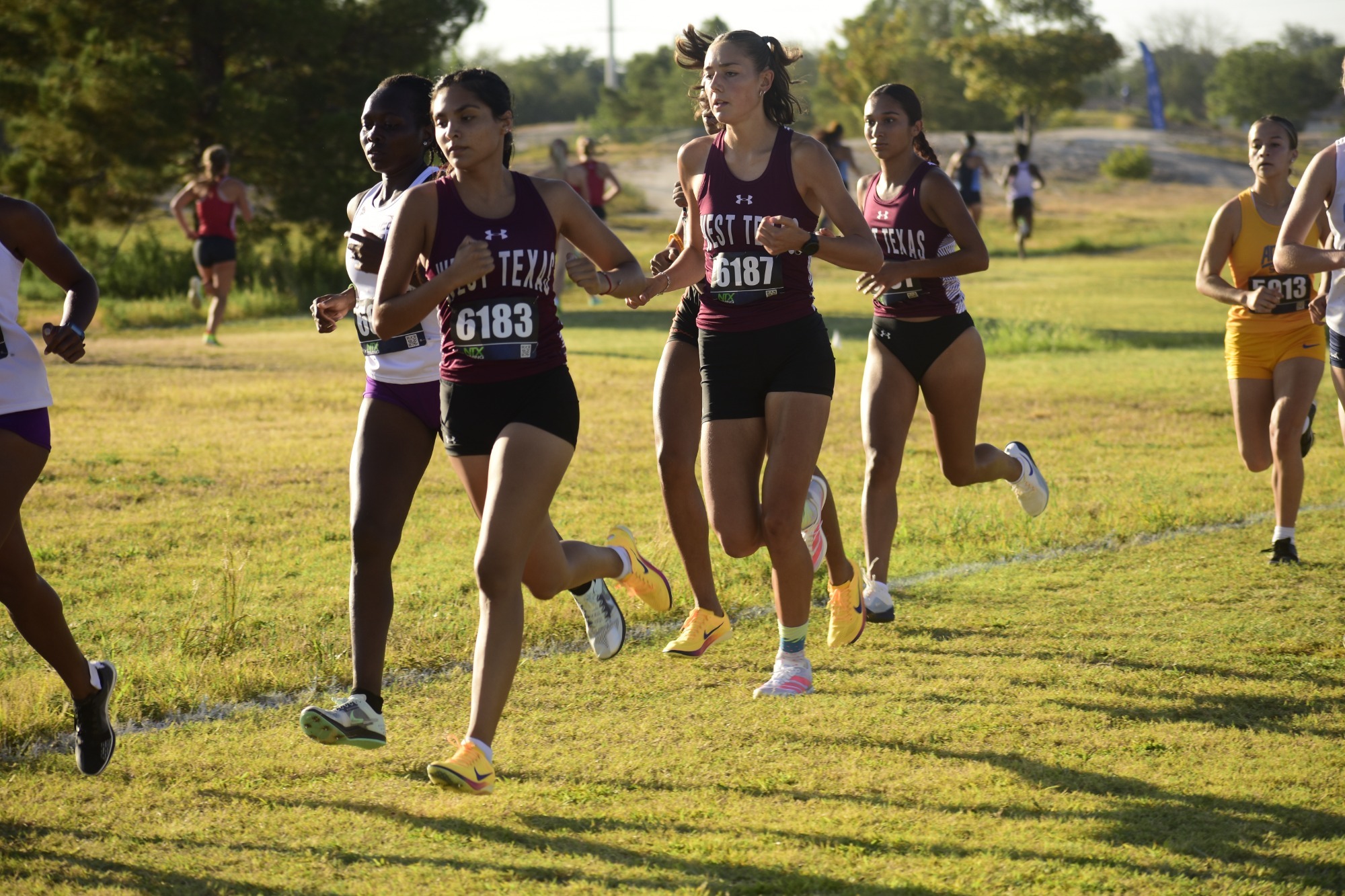 WXC Group